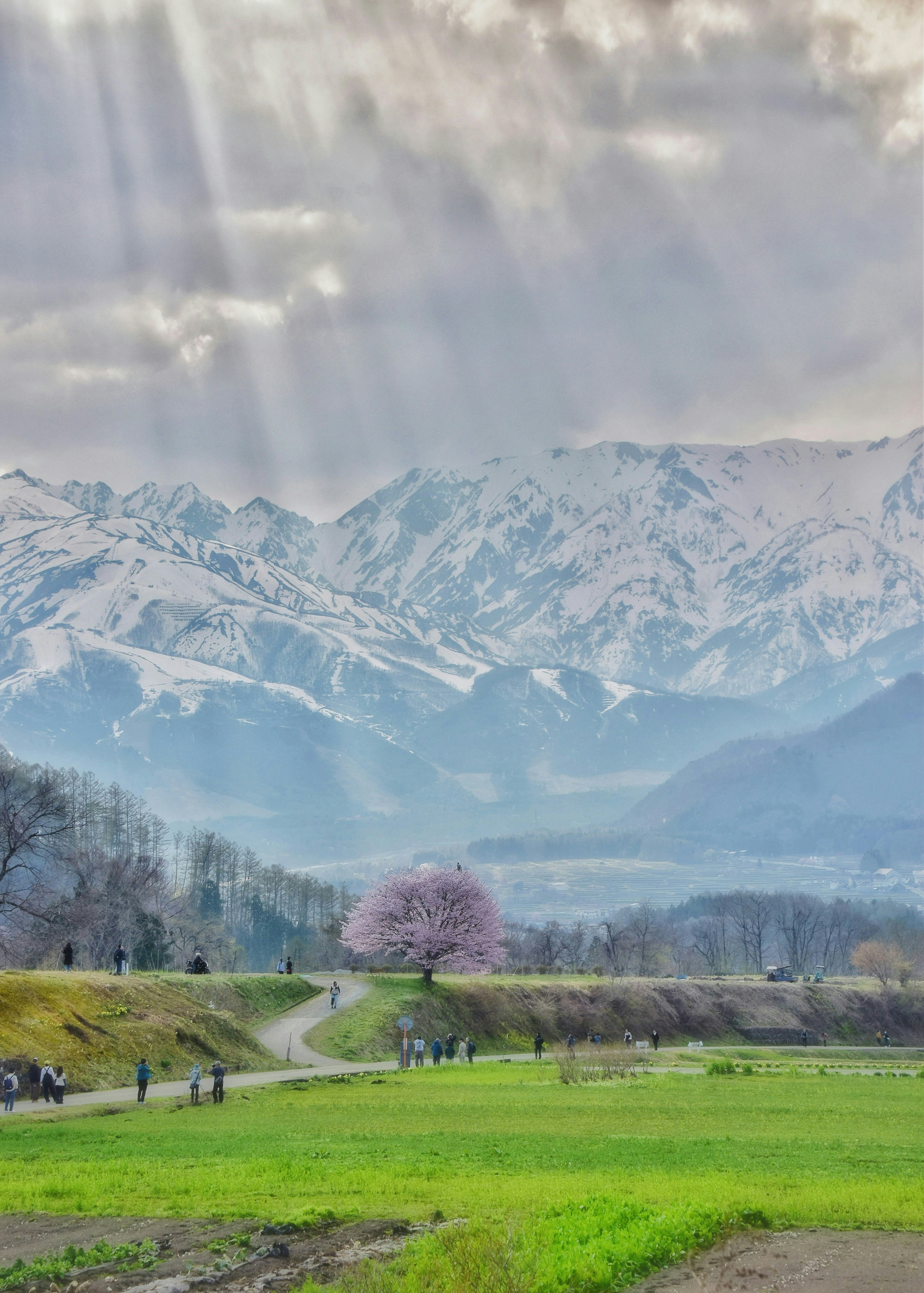 2025-06-photo-mountain-spots-image-15