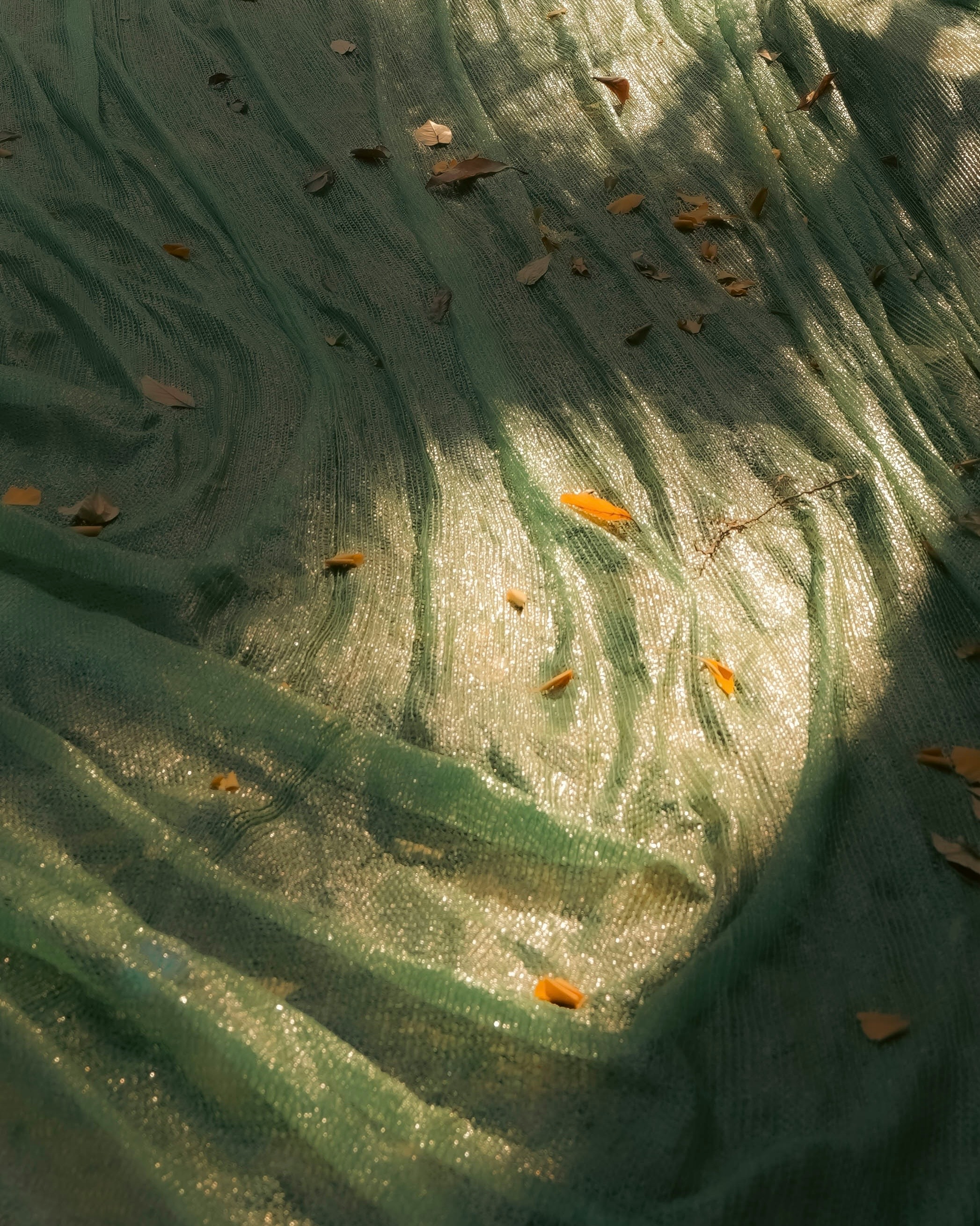 2026-02-find-new-pieces-nature-image-29