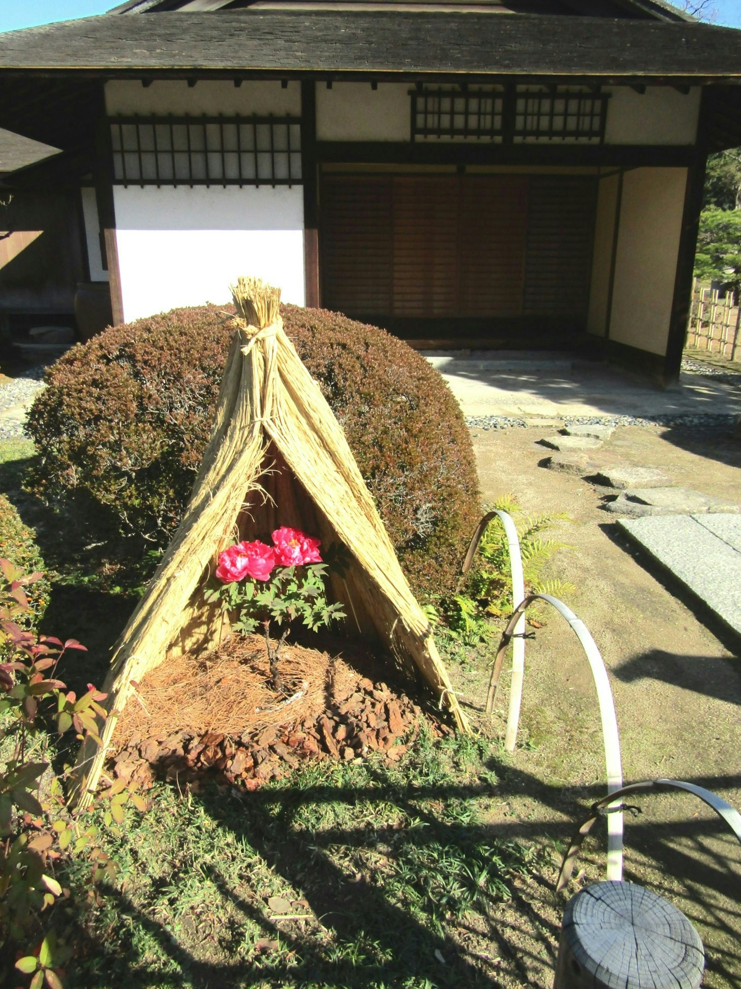 2024-11-hiroshima-sightseeing-spots-image-12