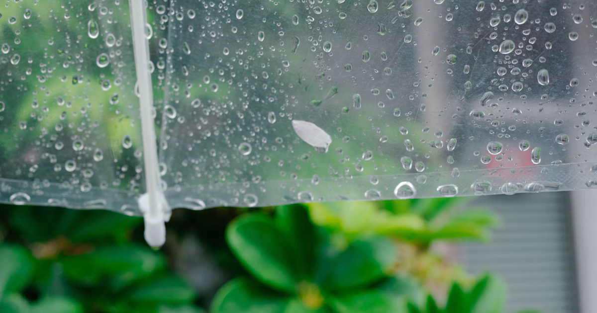 #rain | 利用雨天拍攝 | Focus #173