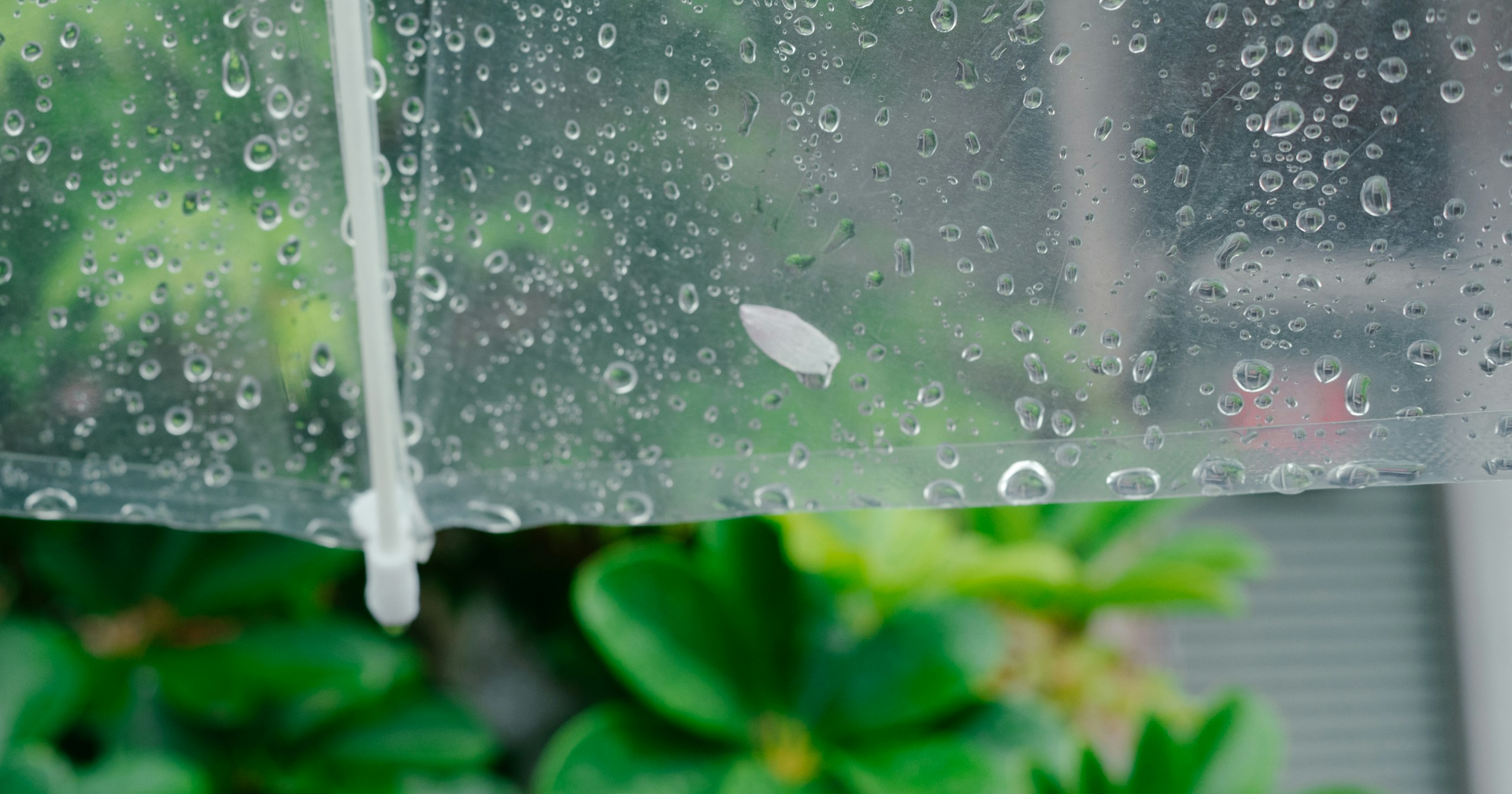 #rain | Photography on Rainy Days | Focus #173