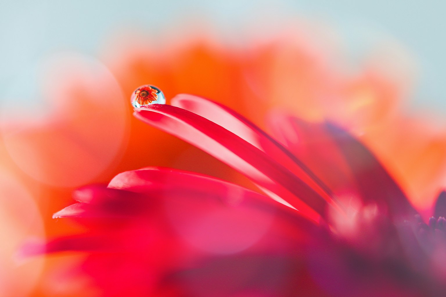 2025-02-manual-focus-tips-image-12