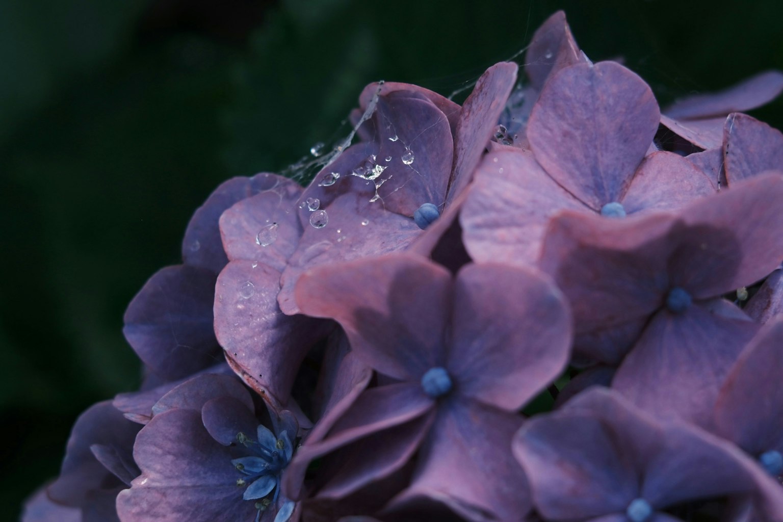 2025-05-pick-up-photos-no-139-143-image-5