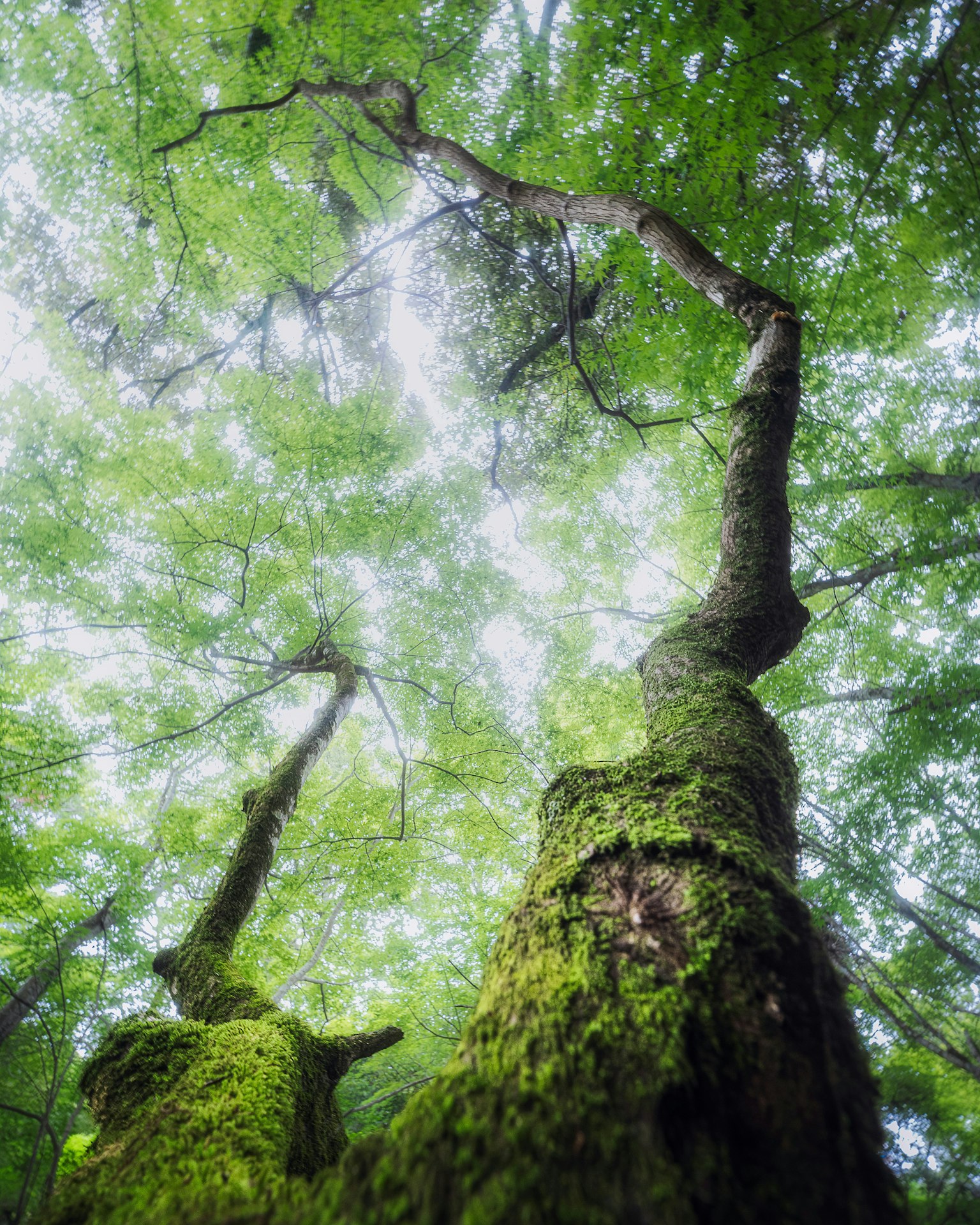 2025-07-pick-up-photos-no-159-163-image-7