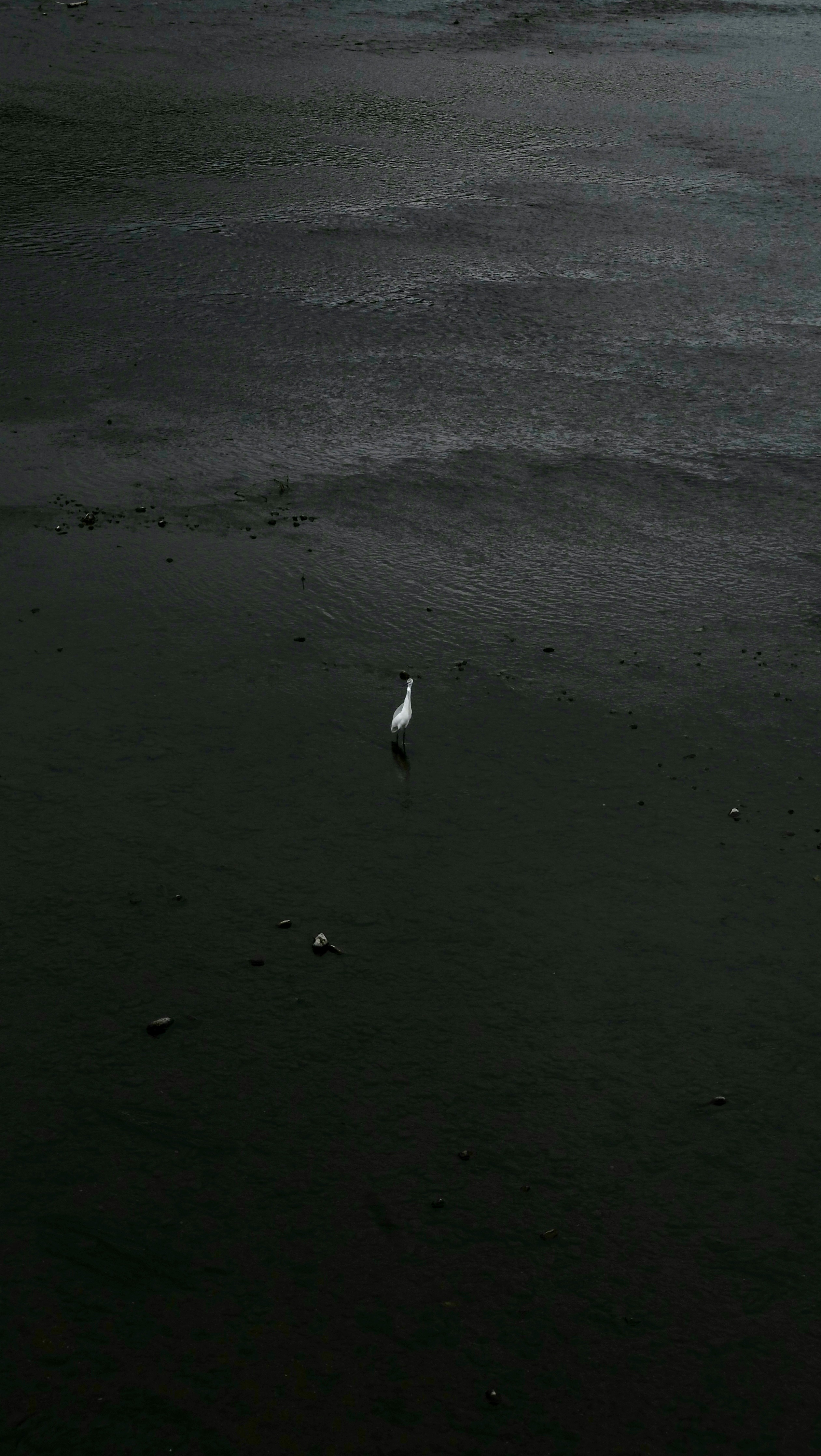 2025-12-love-from-here-image-12