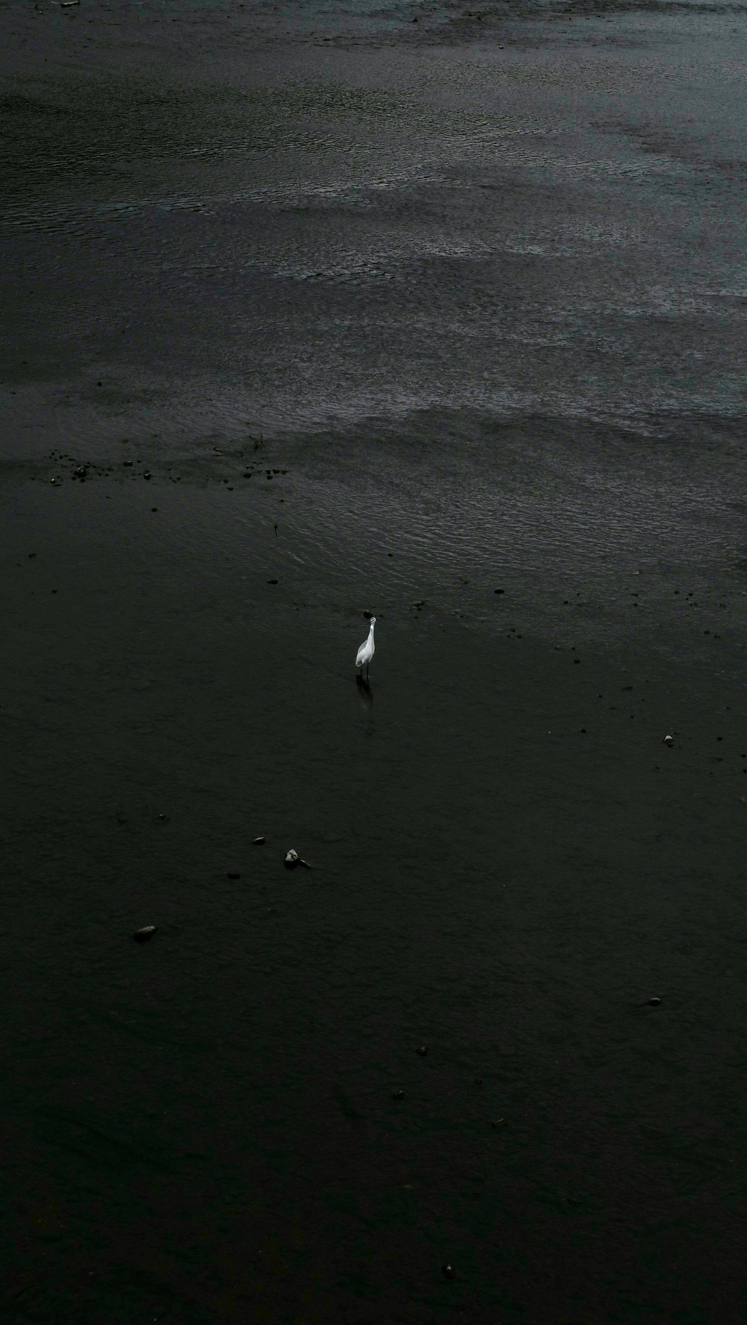 2025-12-love-from-here-image-12