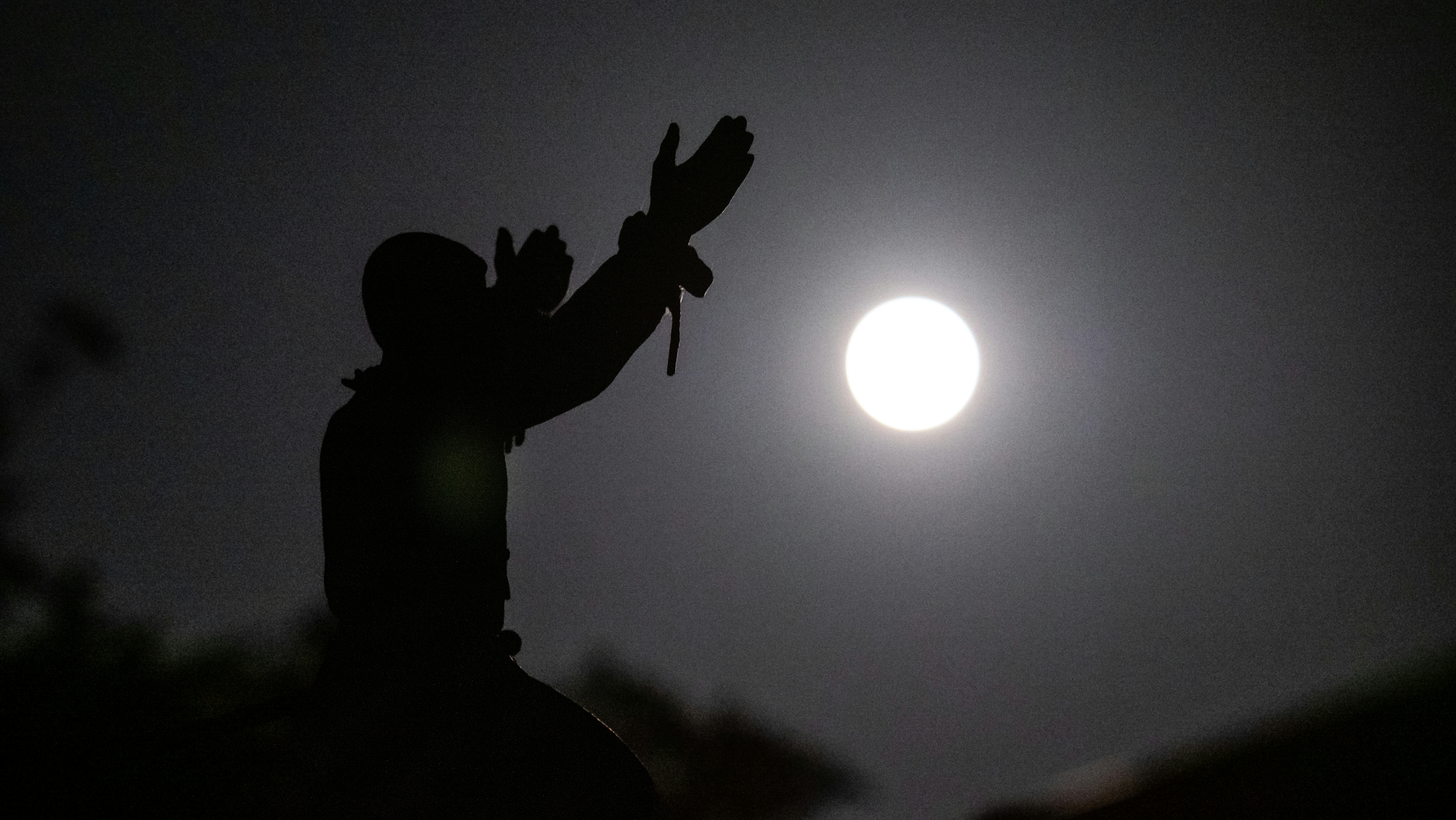 2026-09-capture-the-moon-of-expression-image-12
