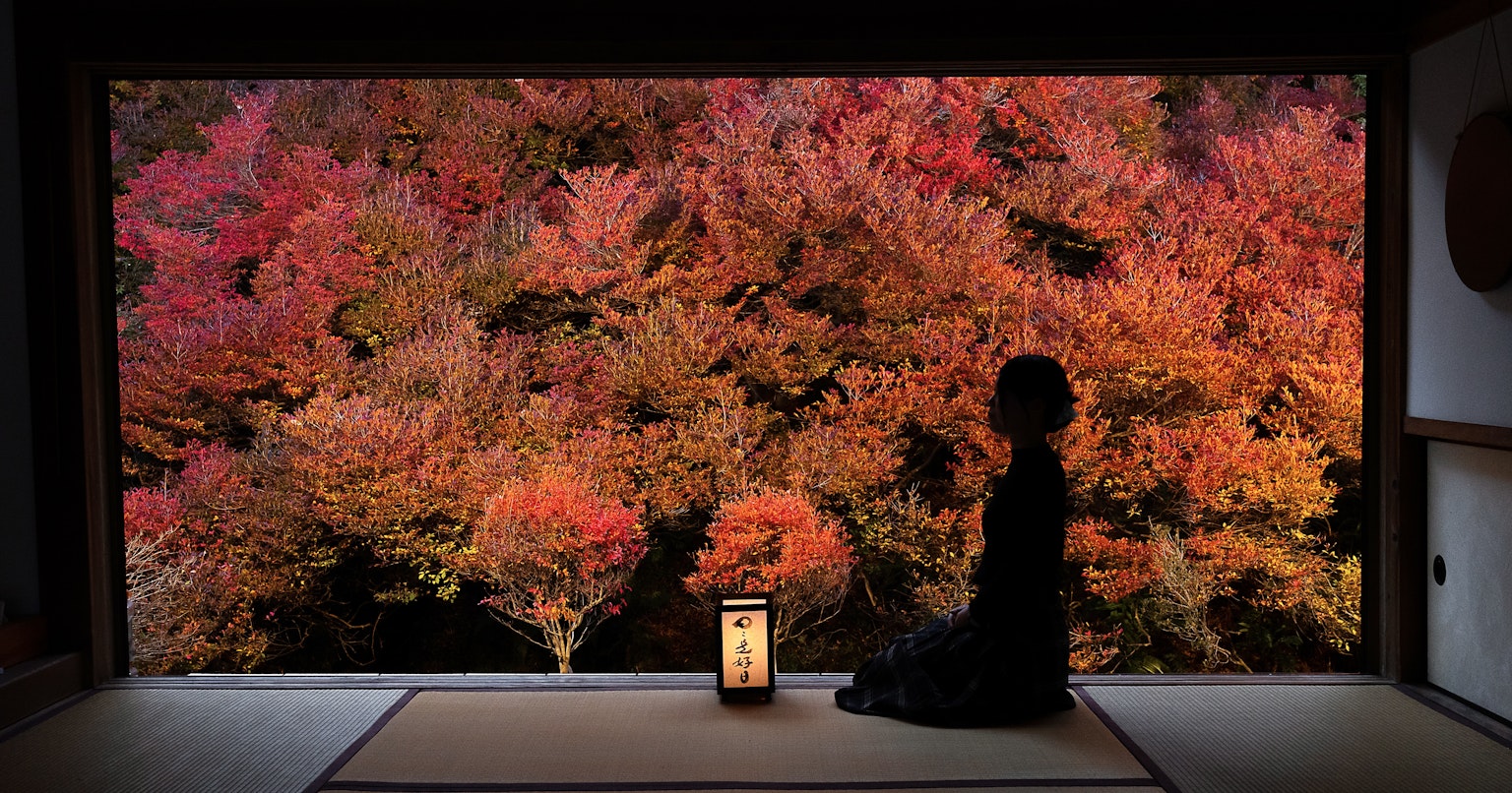 2024-10-frame-composition-cover-image