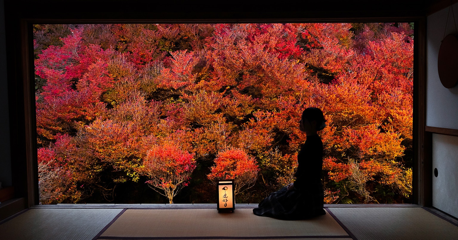 2024-10-frame-composition-cover-image
