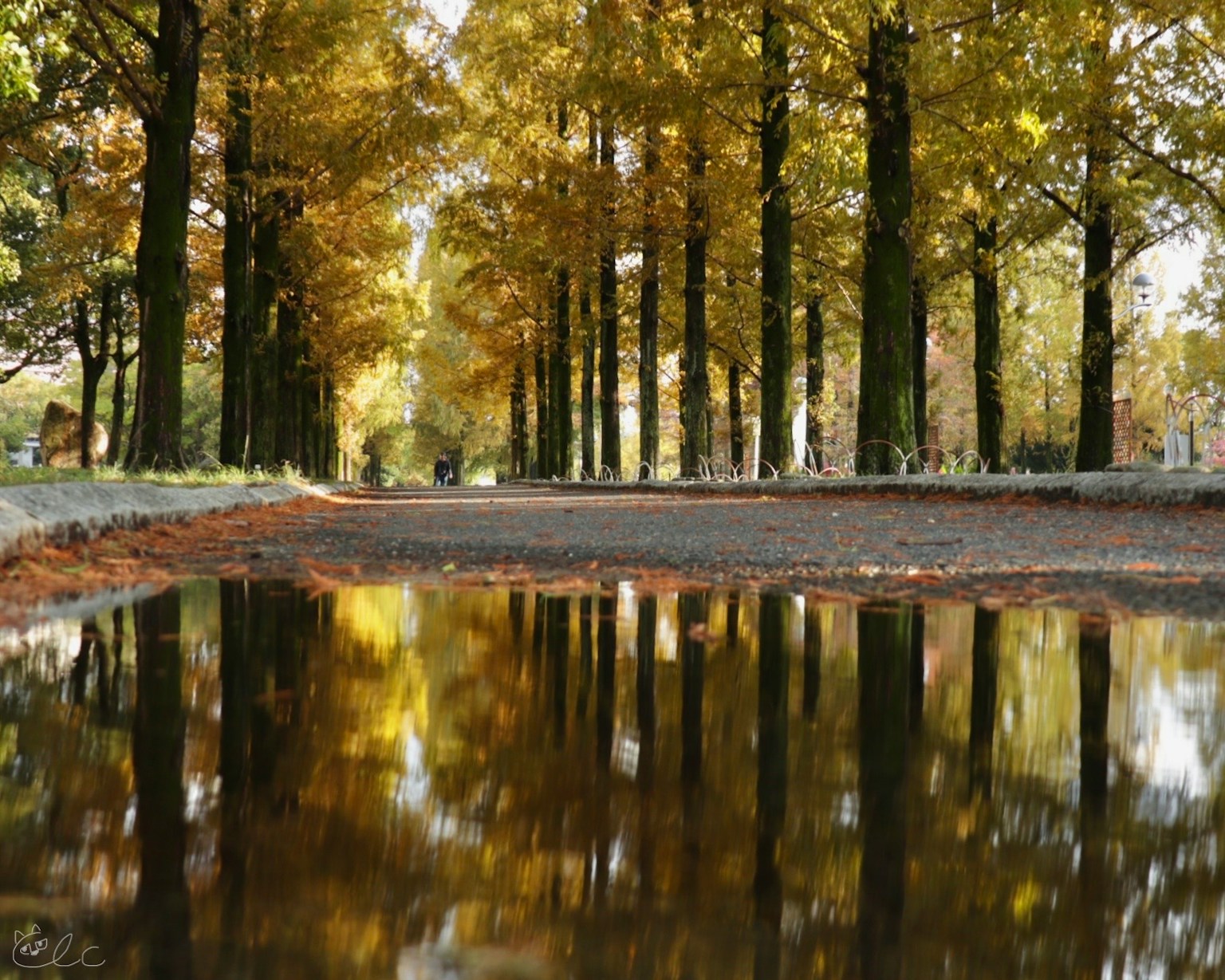 2024-06-reflection-photography-image-22