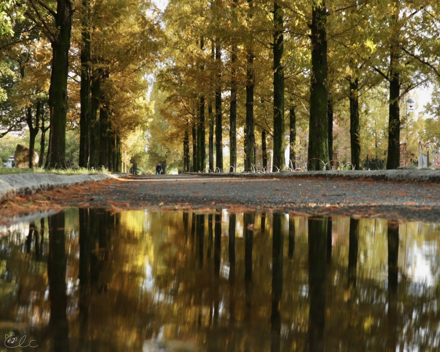2024-06-reflection-photography-image-22