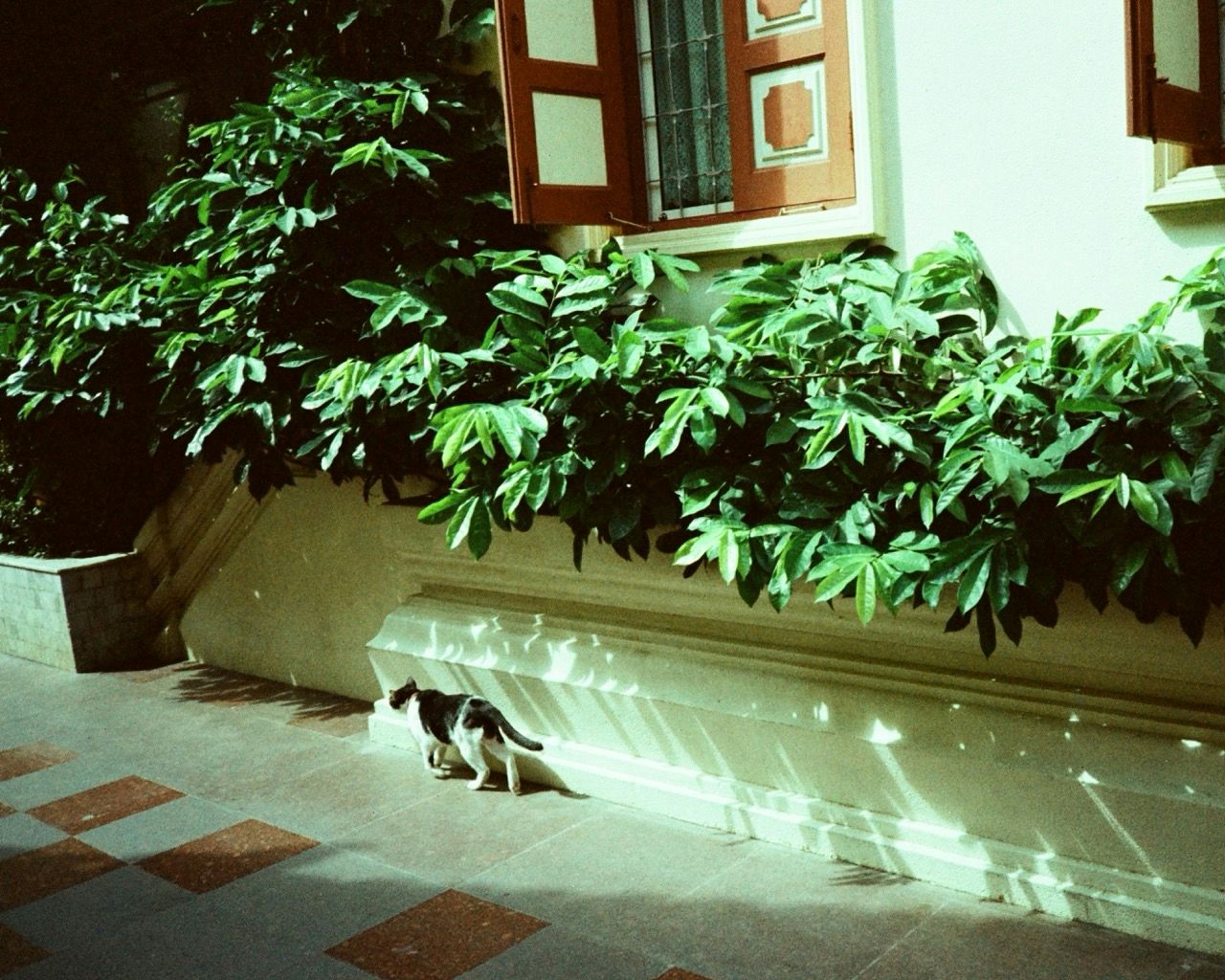 2026-07-ppp-in-bangkok-cover-image