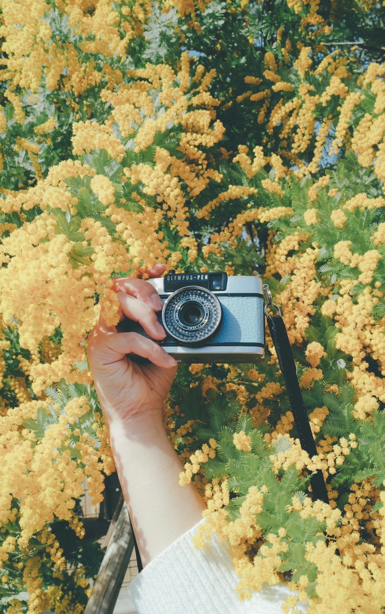 2024-04-olympus-pen-image-10