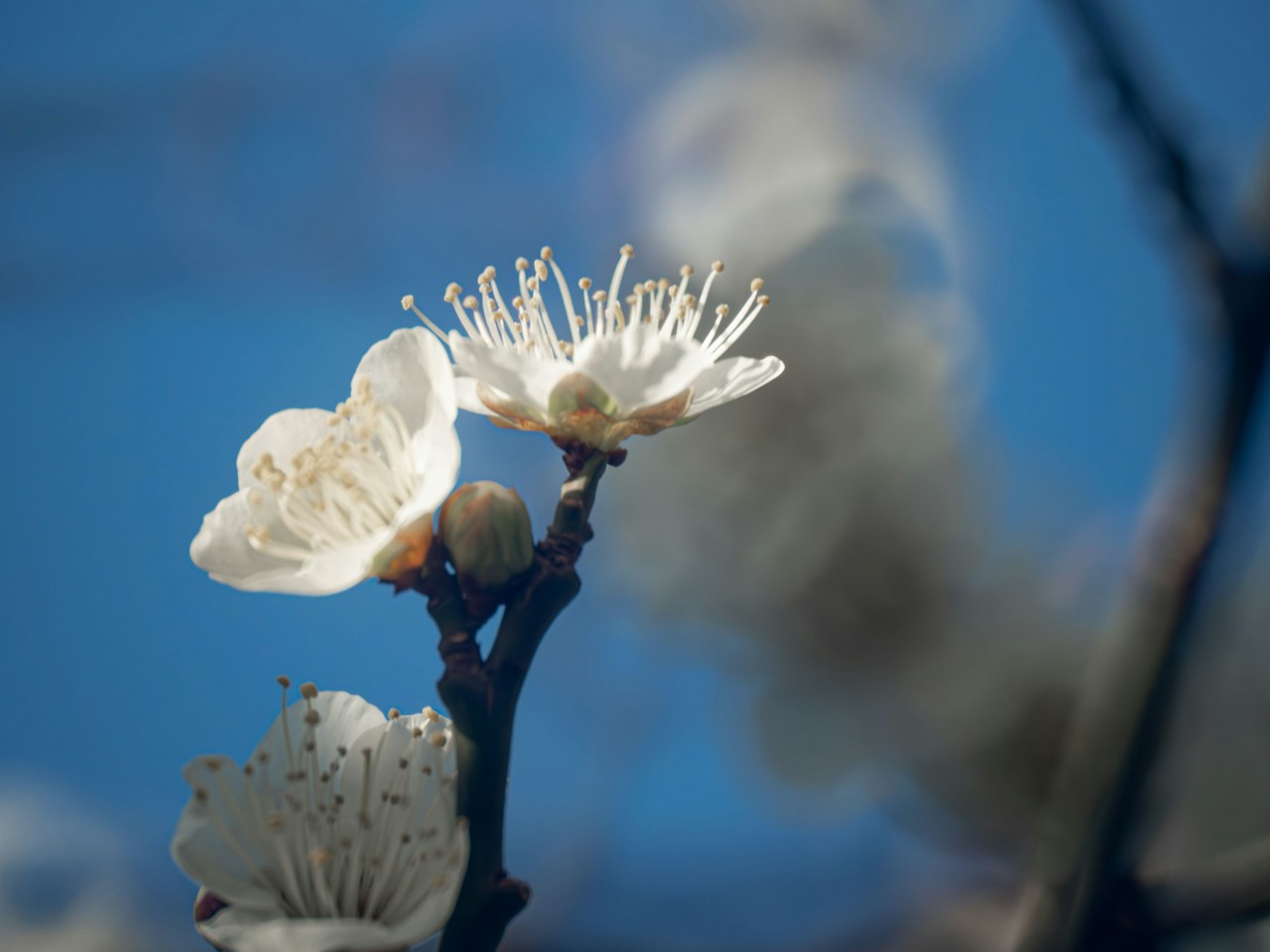 Image by StudioMISO