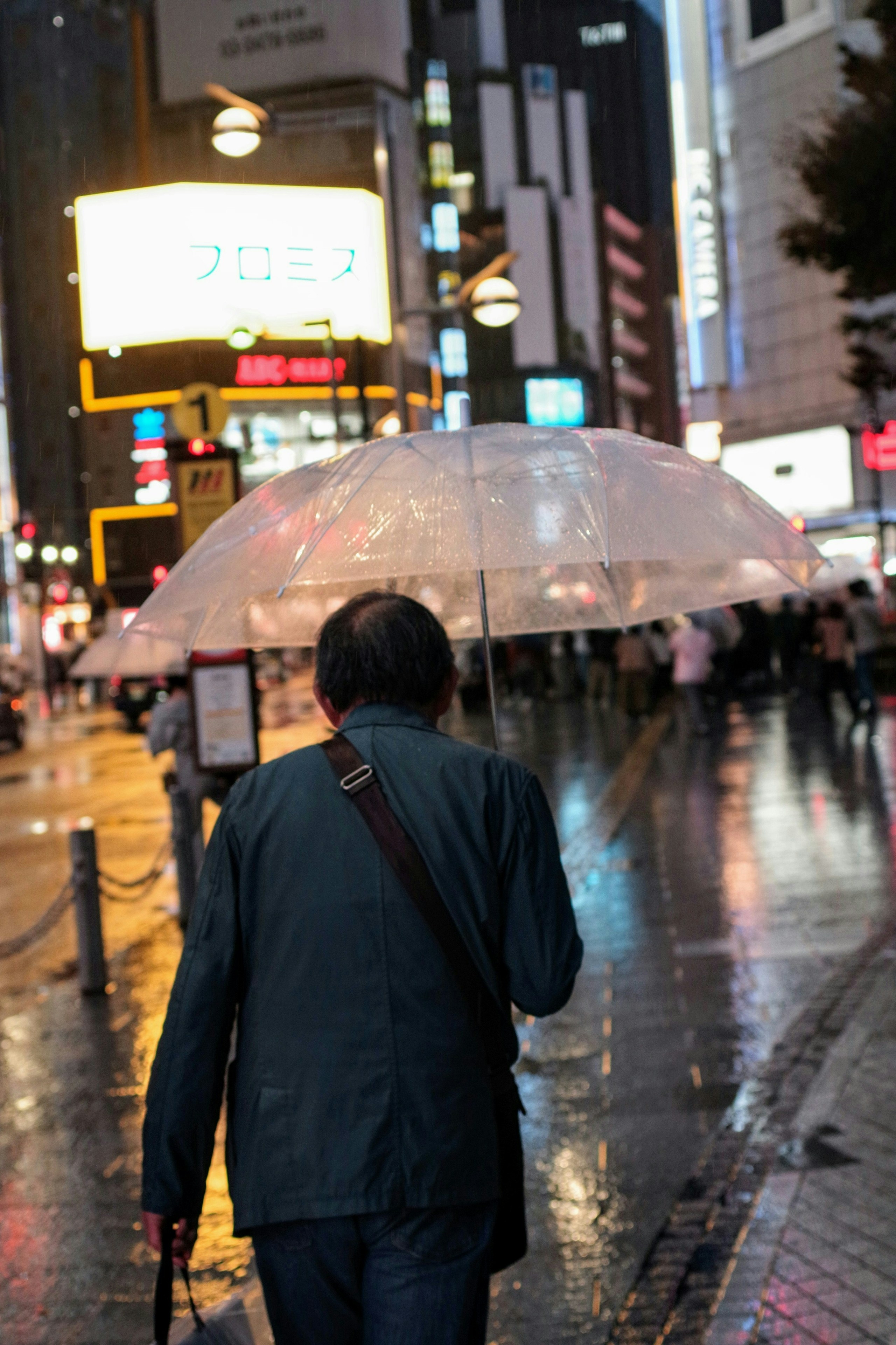 Photo by 朽蓮 kyu-ren