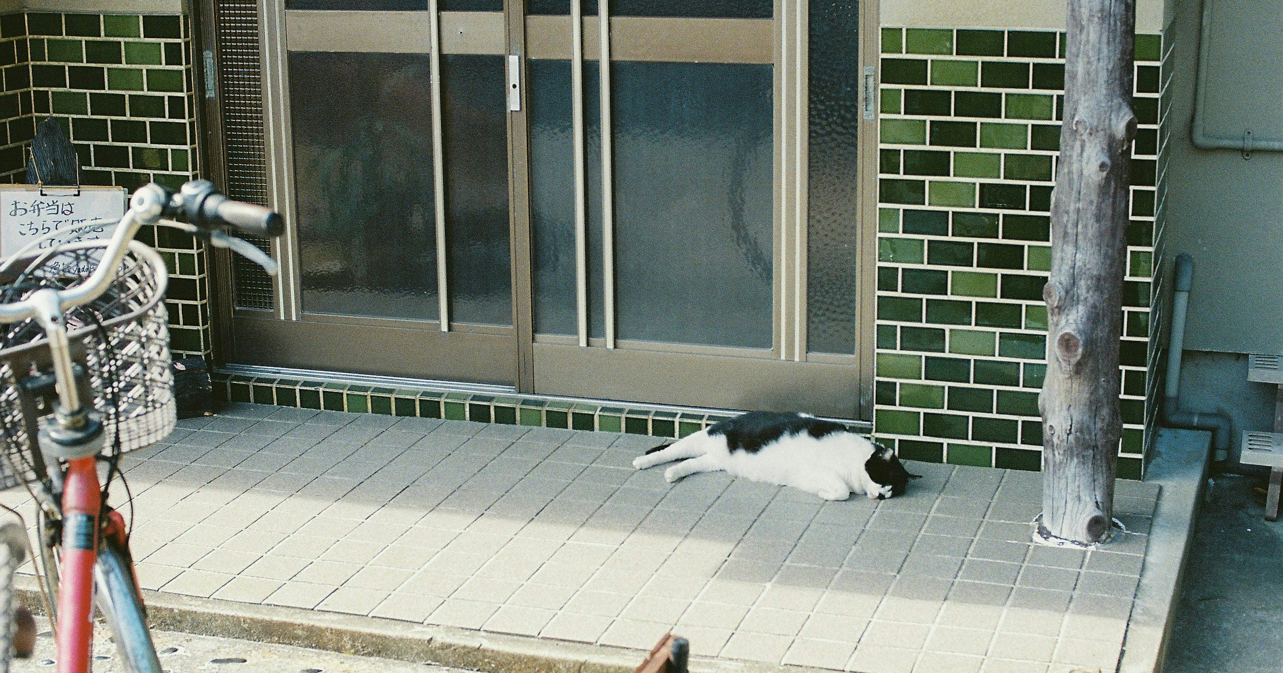 Round and Near You. | Photographer Takahiro Kikuchi | ISSUE #41