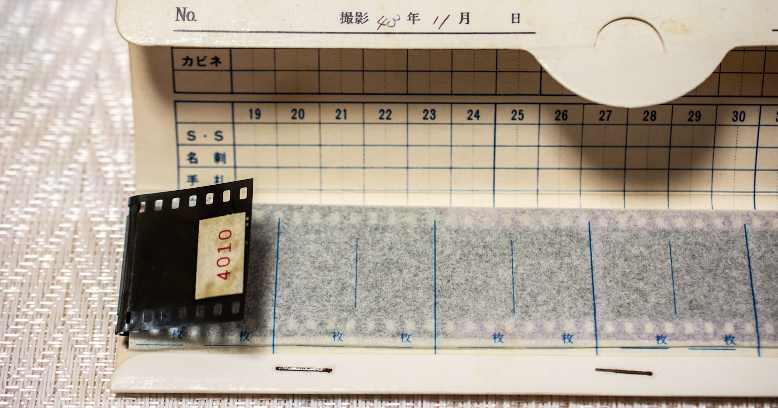 2024-06-focus-hoshinogen-film-cover-image