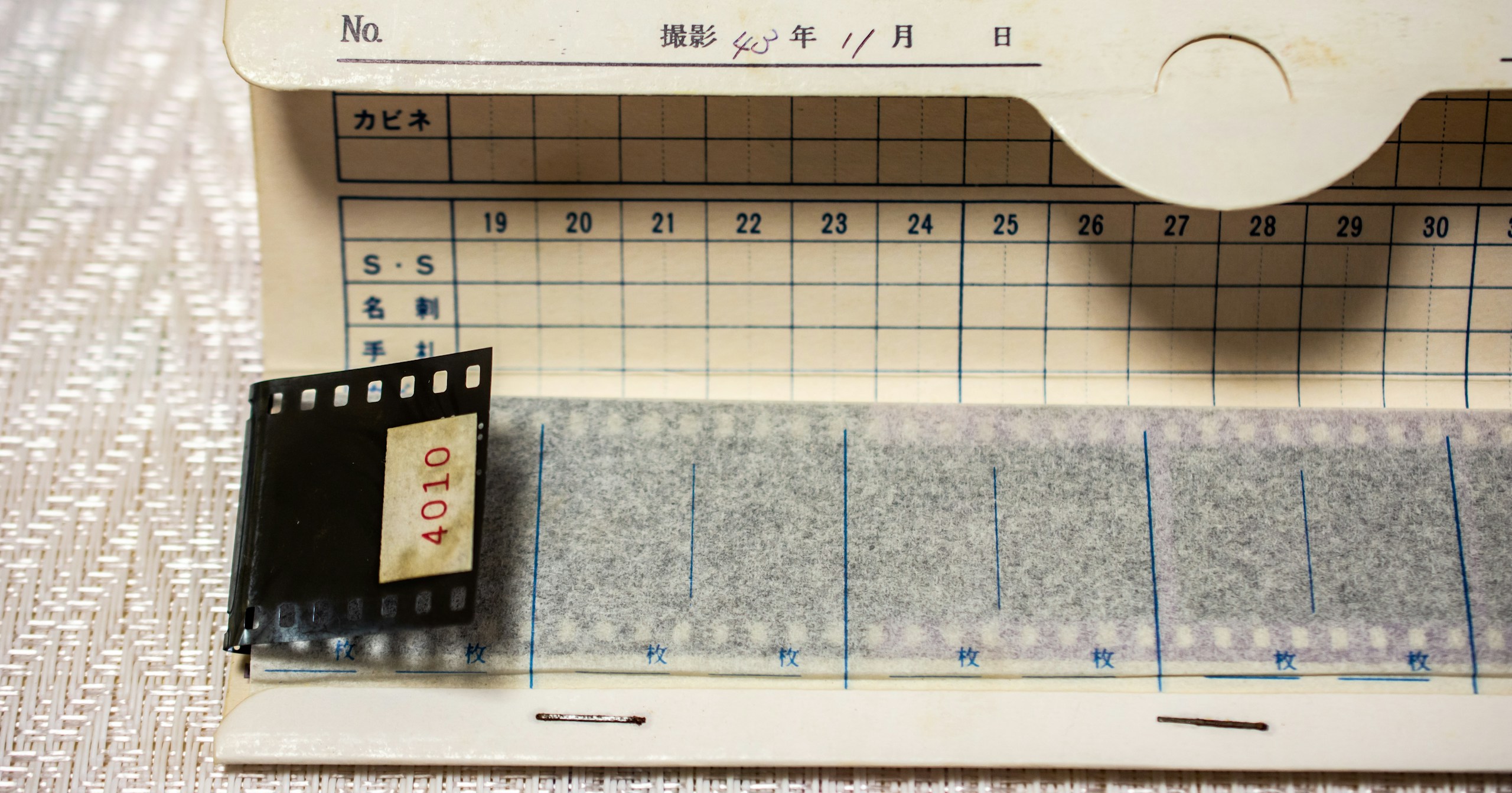 Unraveling the Charm of Everyday Life through Hoshino Gen's 'Film' | Focus #192
