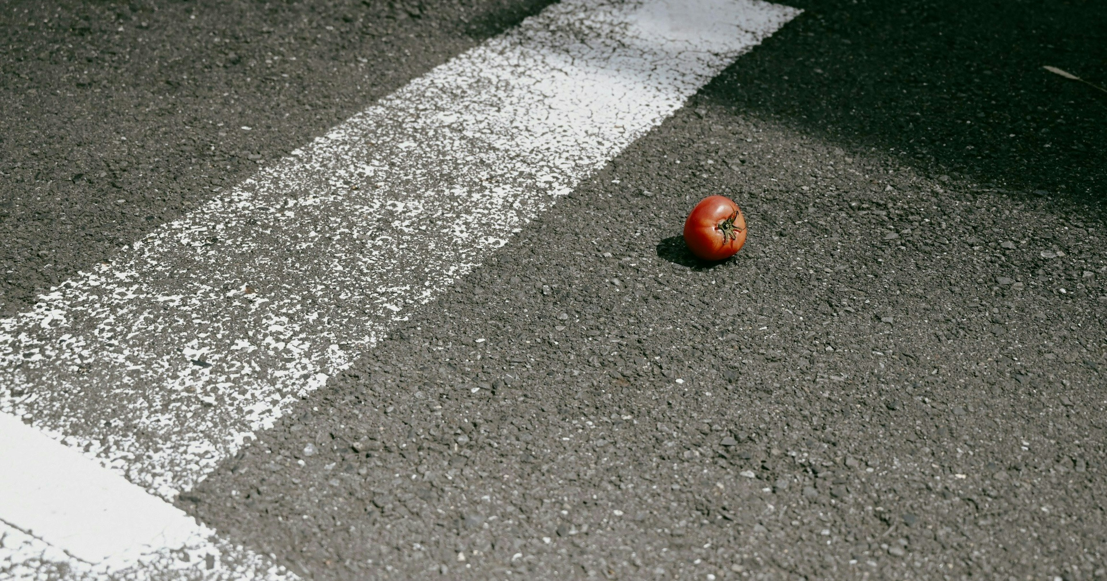 2025-05-accent-cover-image