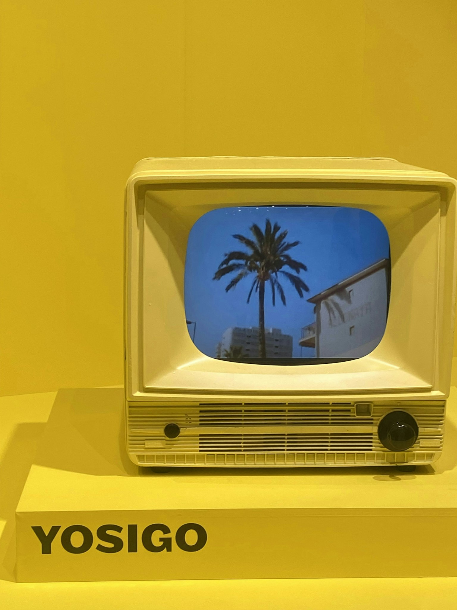 2024-11-yellow-image-6