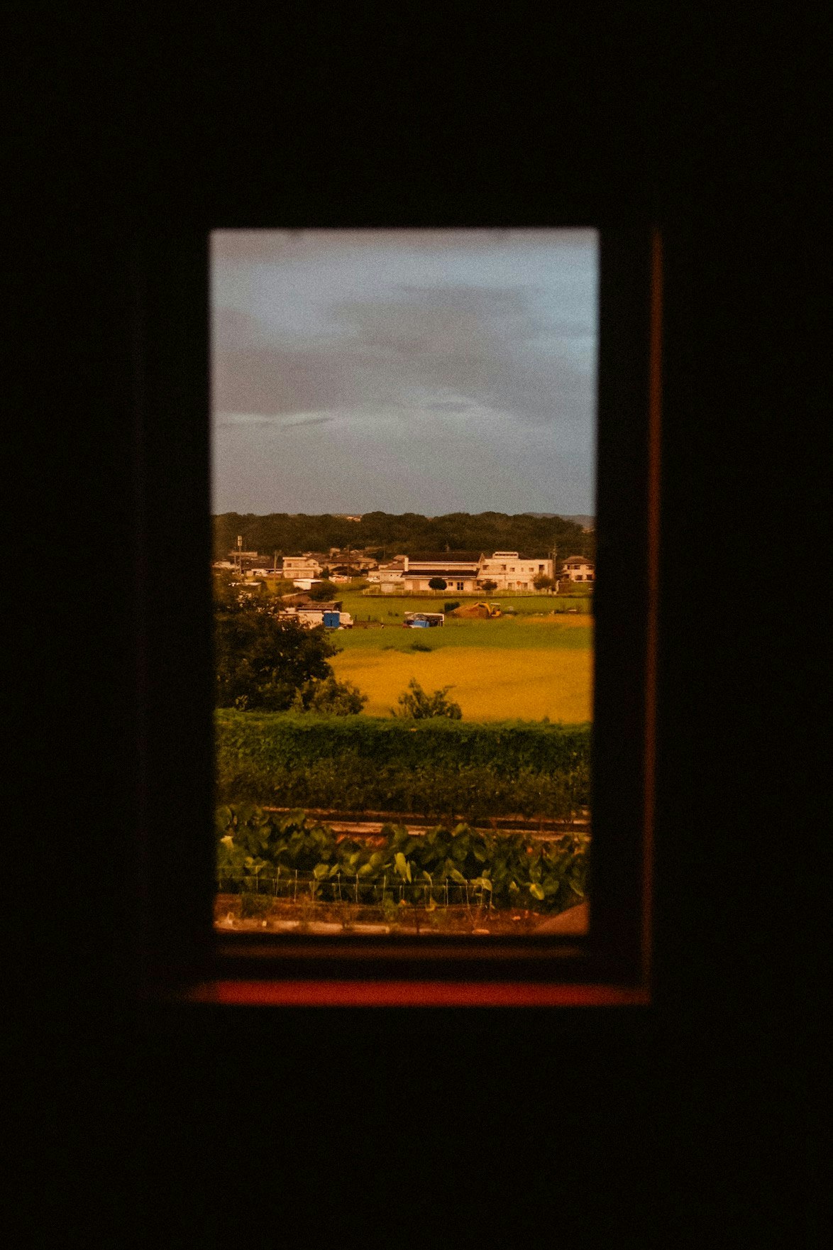 2025-11-pick-up-photos-no-234-238-image-11