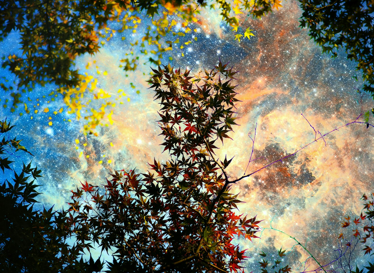 2024-12-instagram-visual-quality-image-2