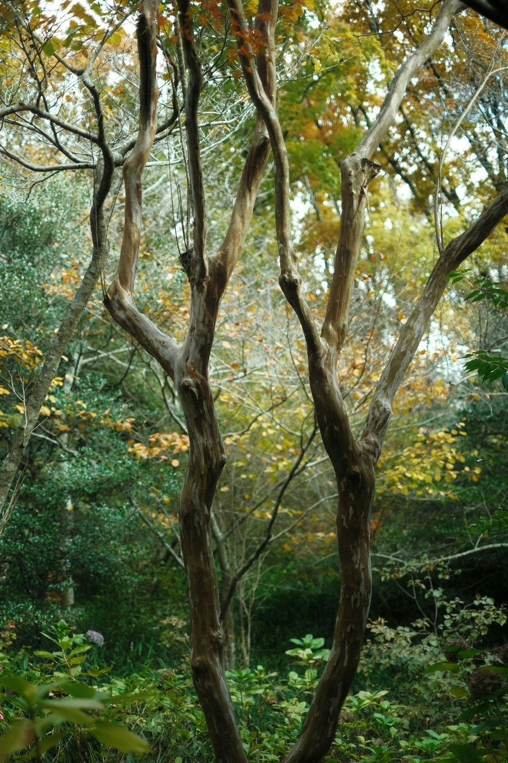 2026-02-older-and-longer-focal-lengths-image-12