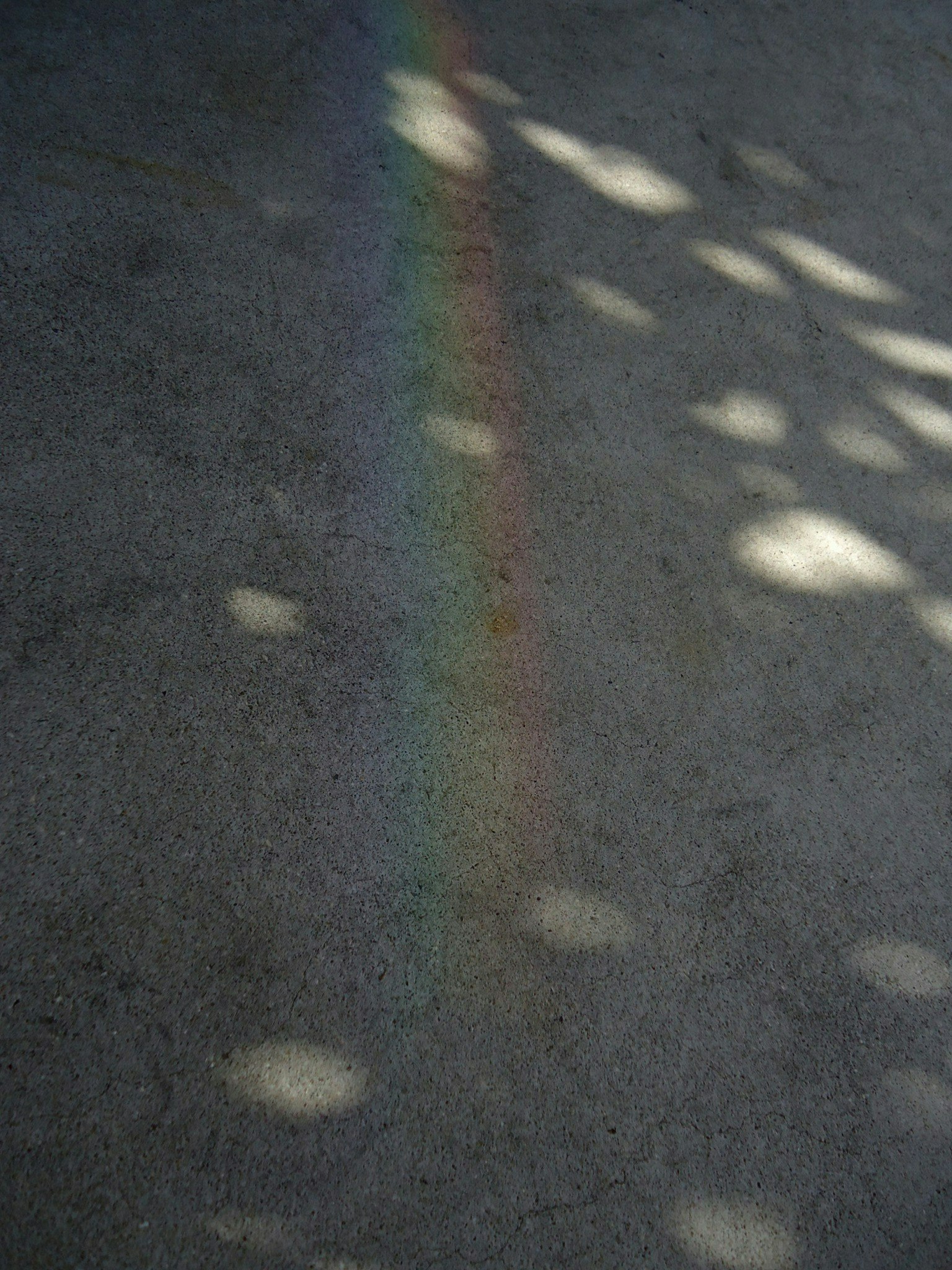 2025-09-photography-and-forgetting-image-5