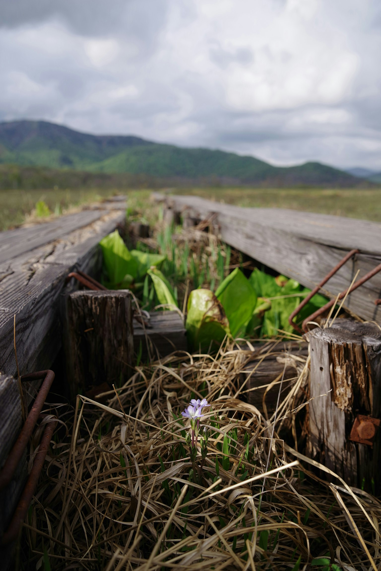 2025-11-message-image-6