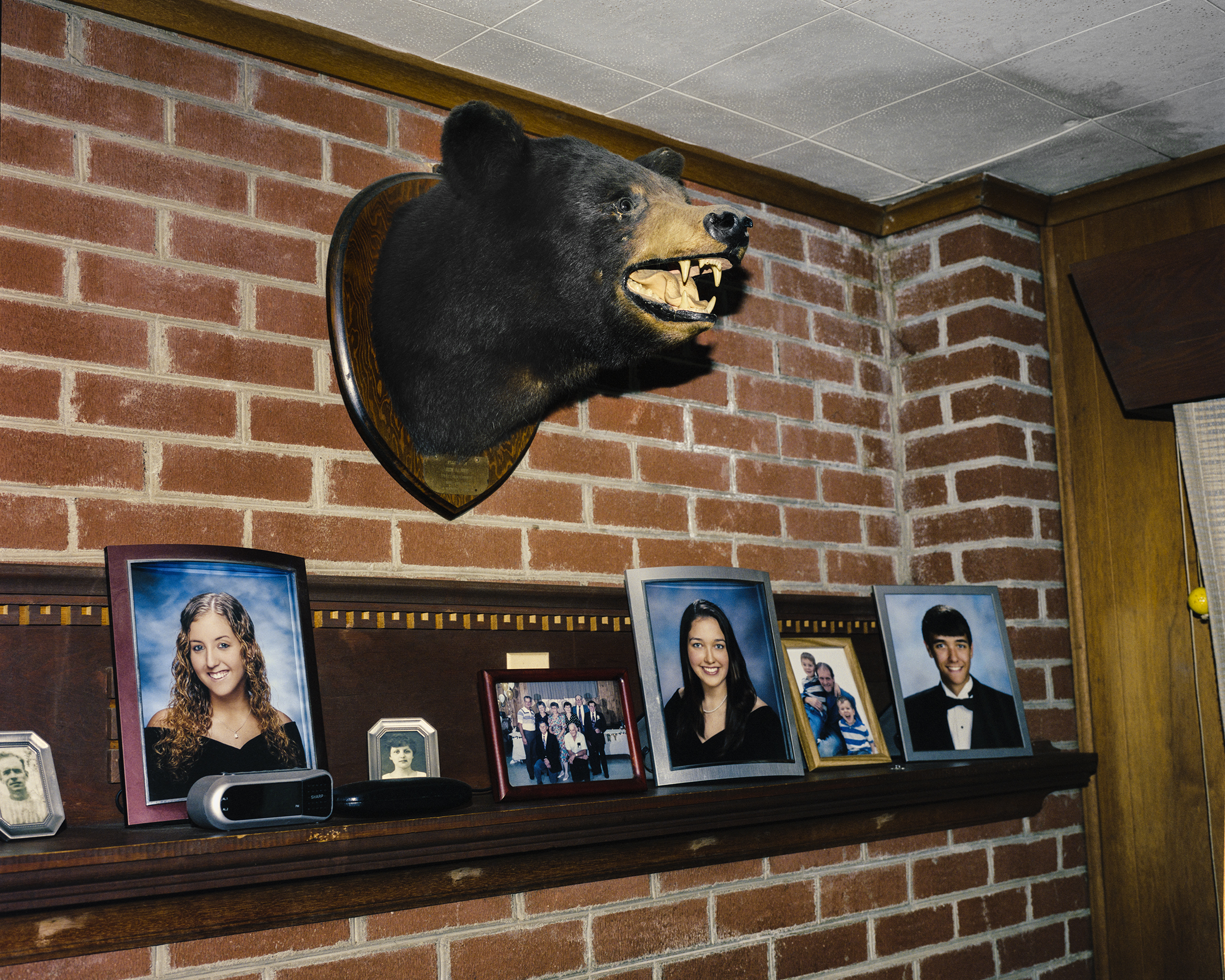 ©︎ Taylor Galloway