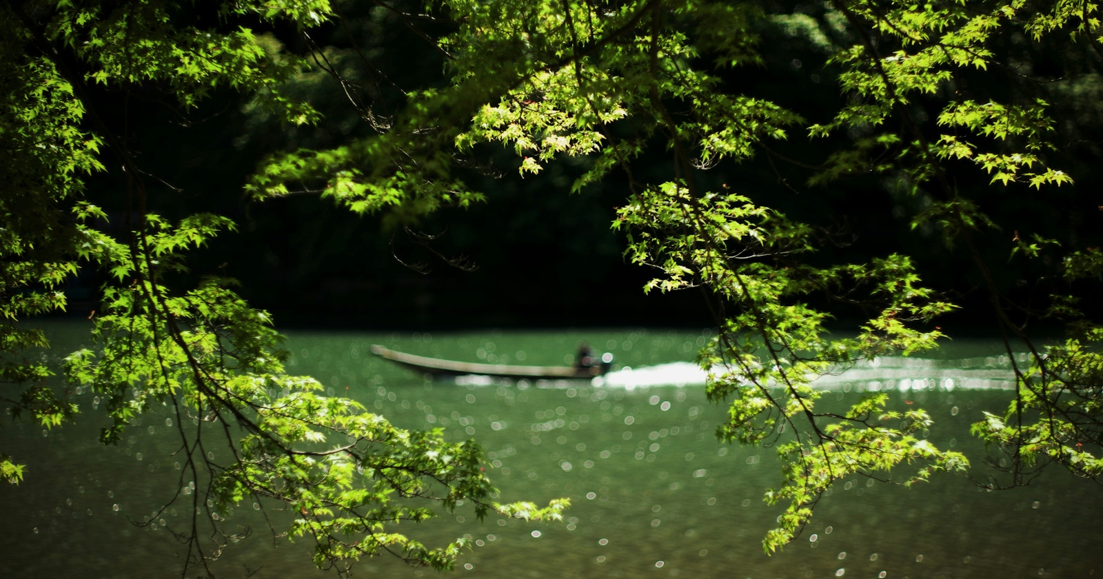 cizucu présente « Summer Green » | Challenge #242