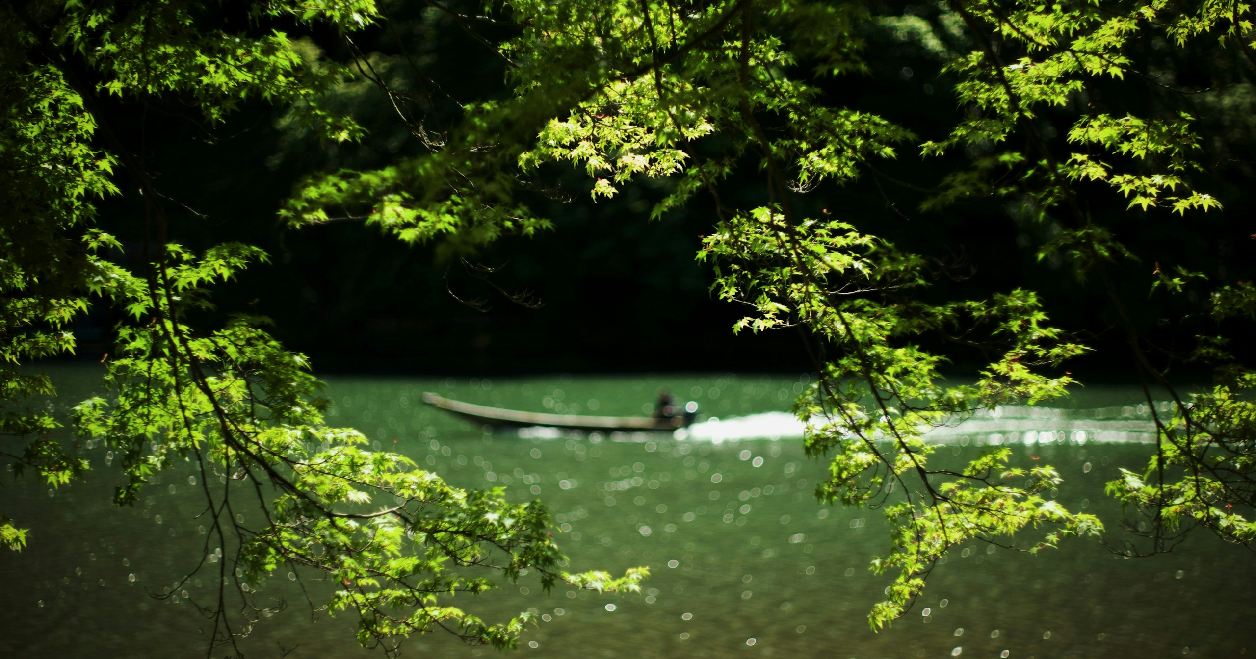 cizucu présente « Summer Green » | Challenge #242