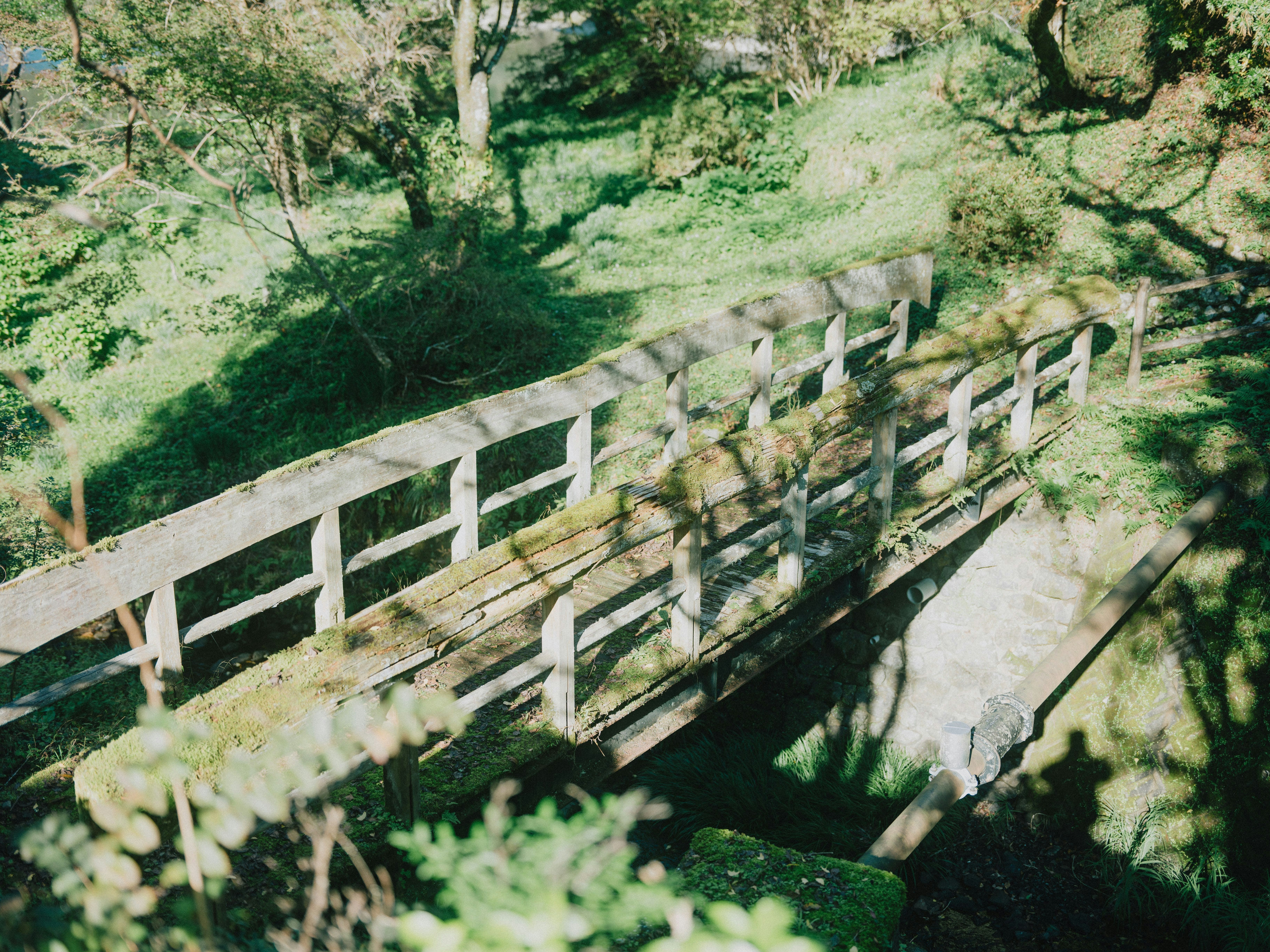 2026-05-greenery-cover-image