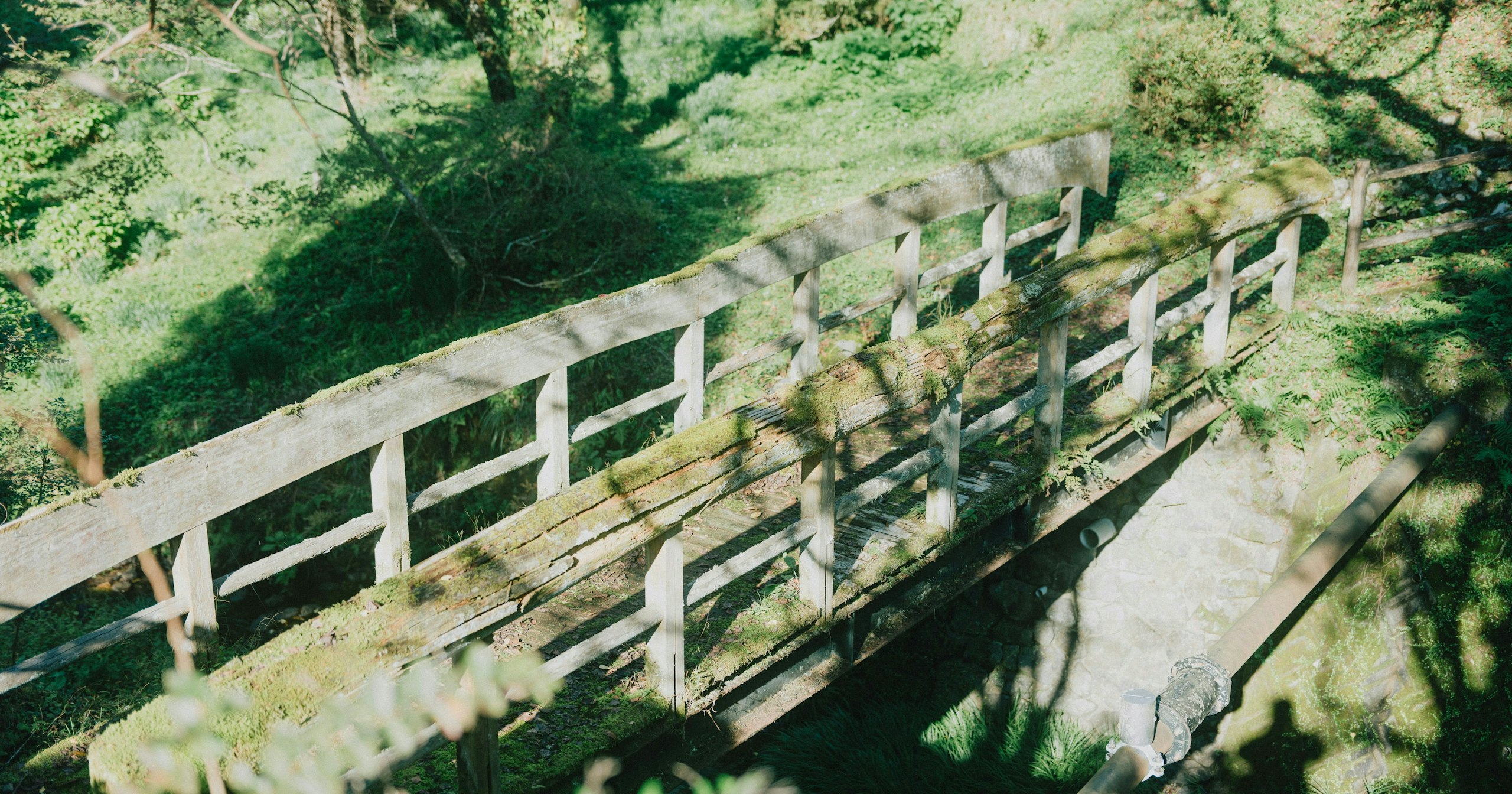 2026-05-greenery-cover-image