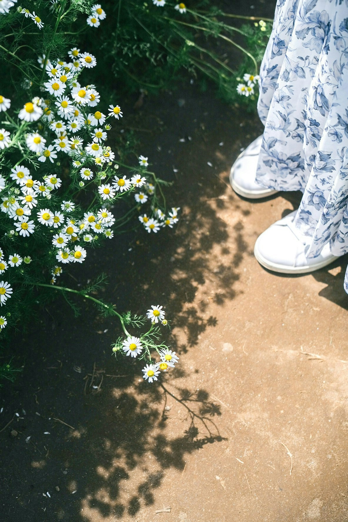 Photo by oku yuuka
