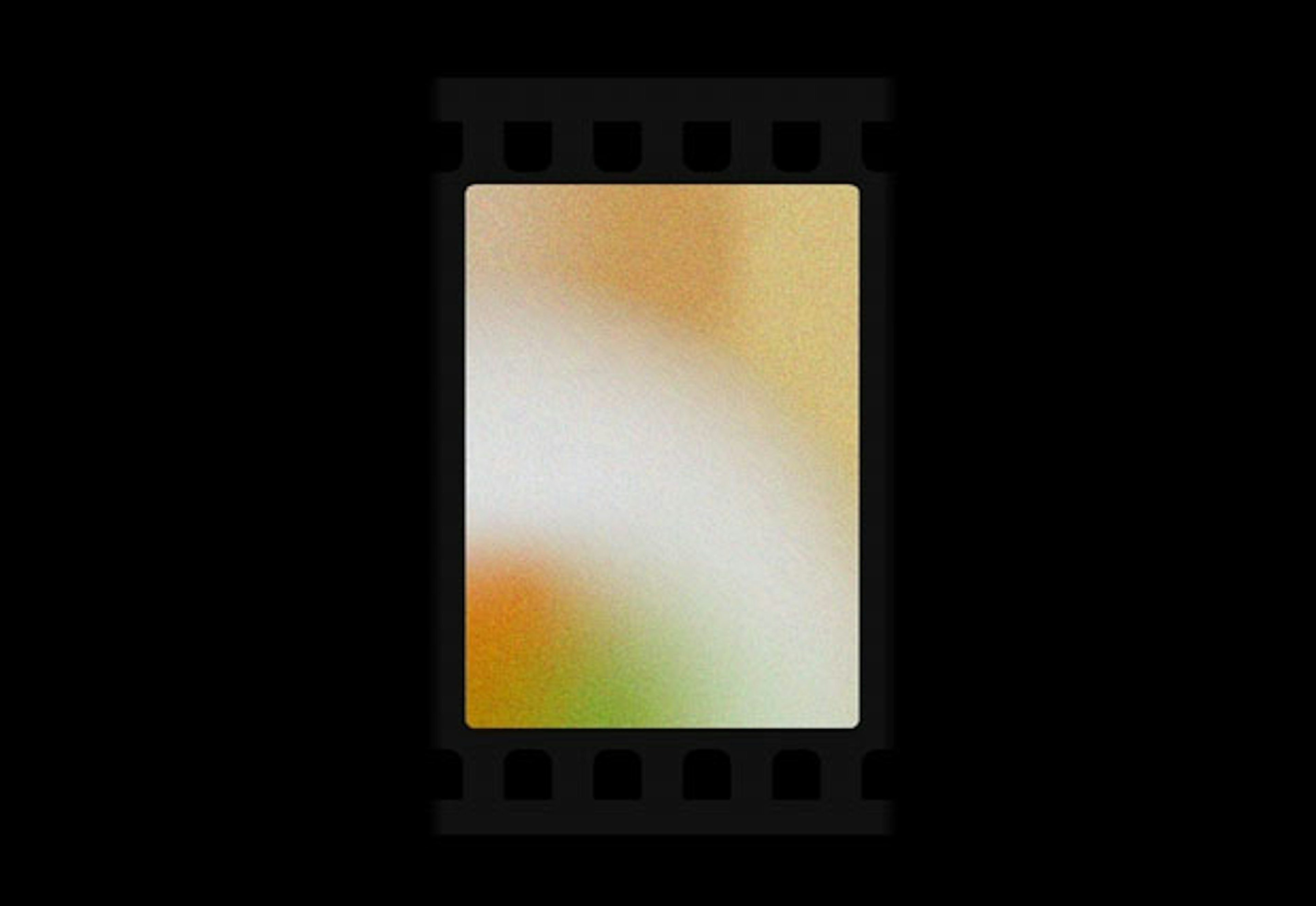 2024-05-pentax-film-project-image-7