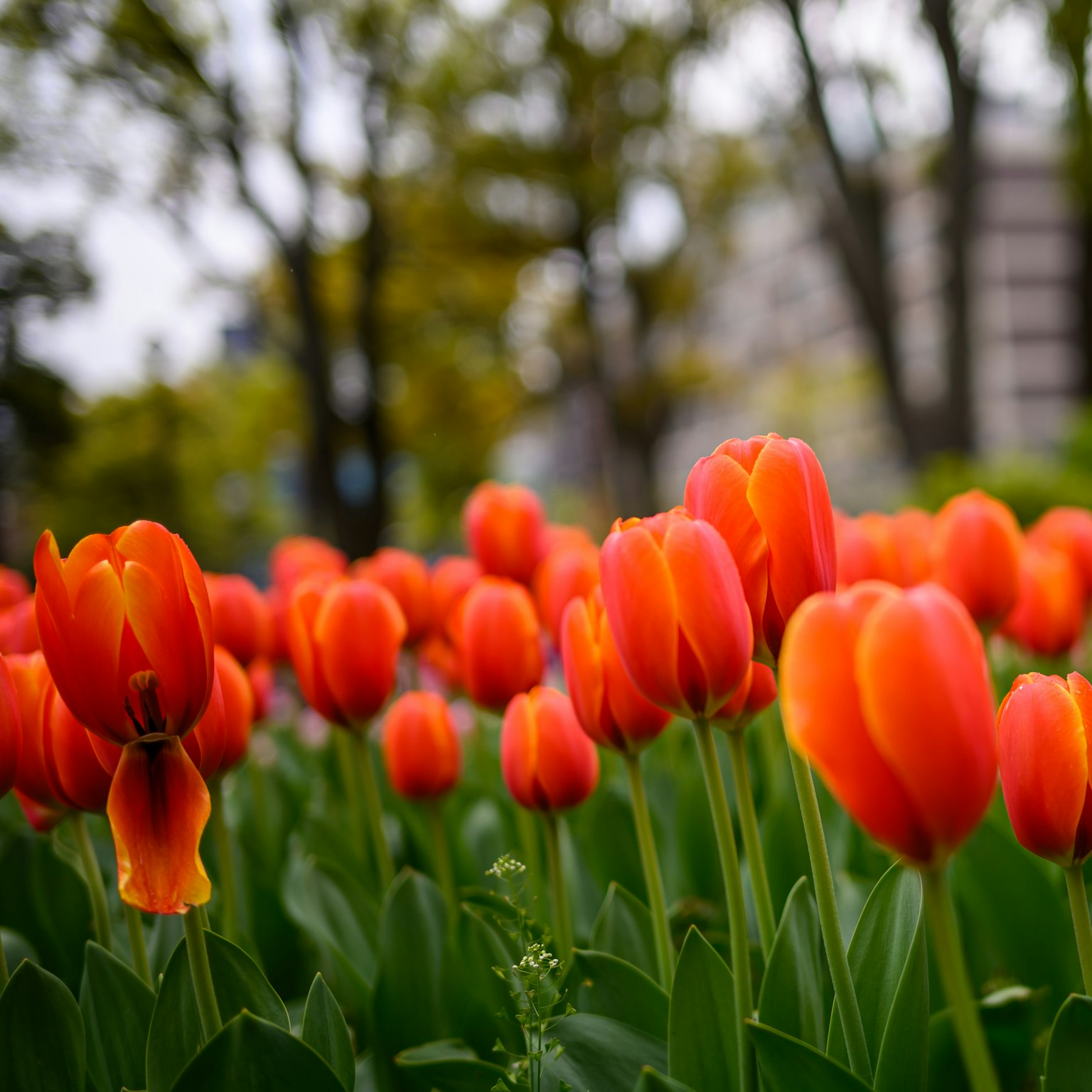 2024-05-april-diary-award-image-15