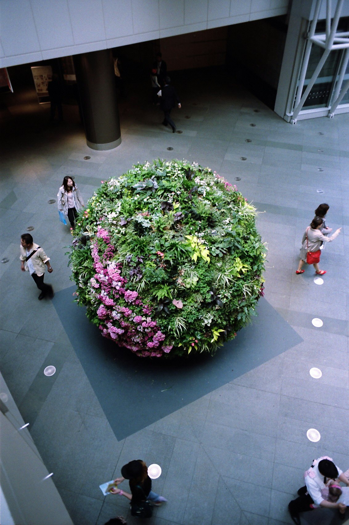 2025-10-centered-composition-image-7