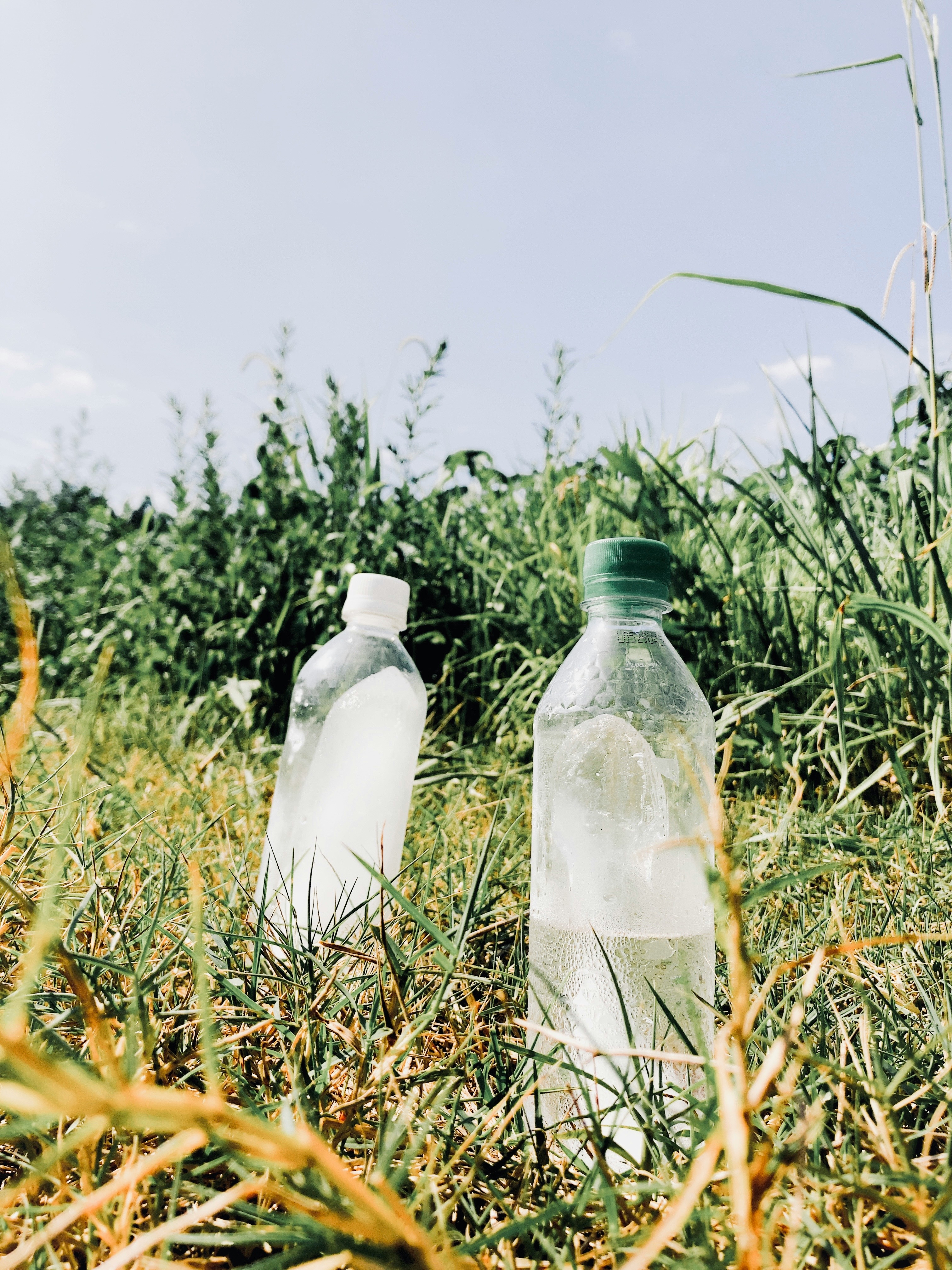 2026-07-july-dairy-image-14