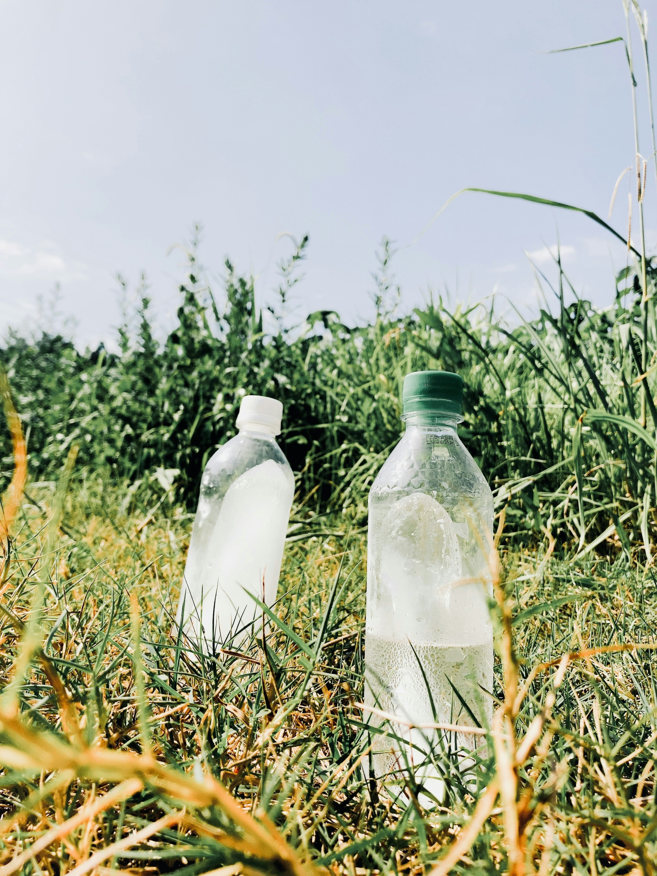 2026-07-july-dairy-image-14