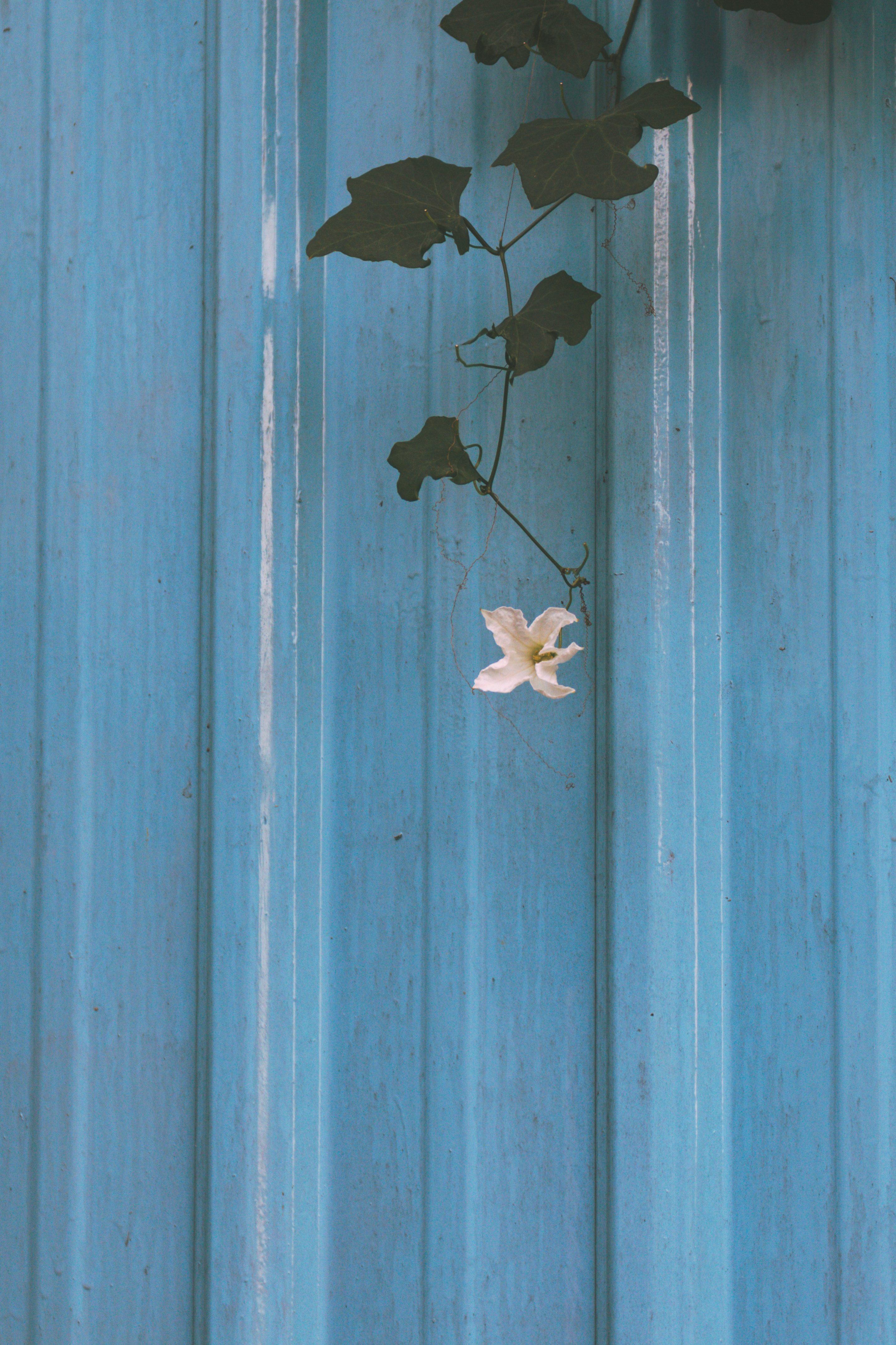 2026-05-find-new-pieces-blue-image-40