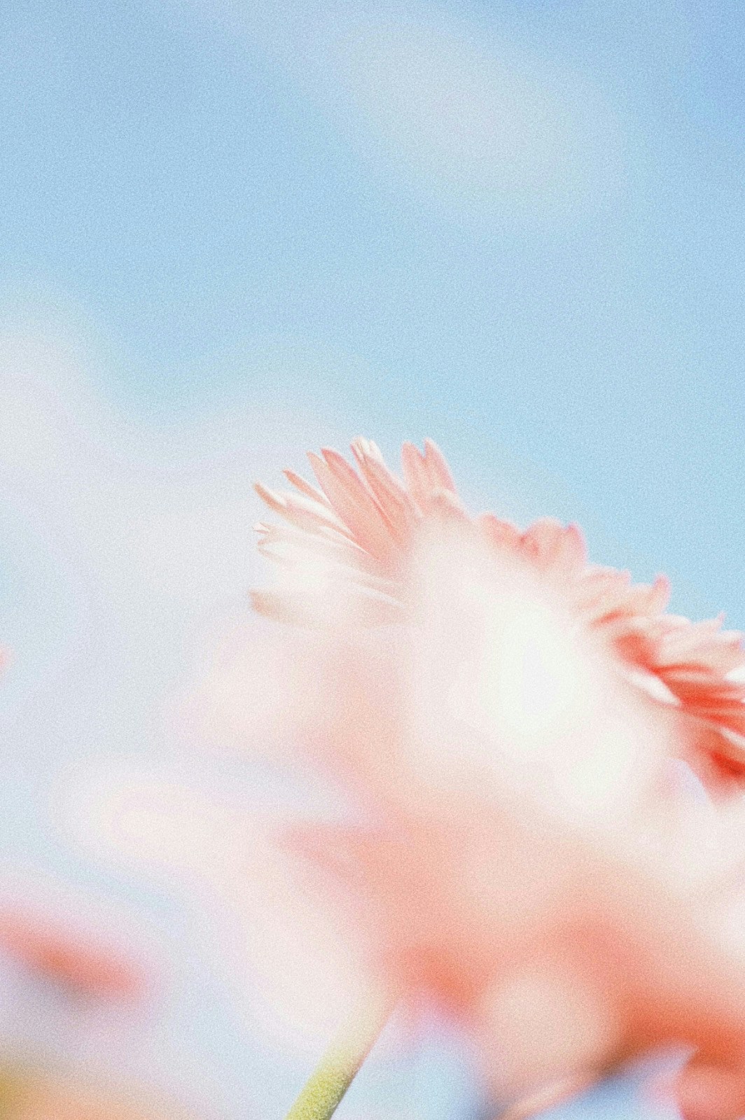 2026-05-find-new-pieces-spring-image-10
