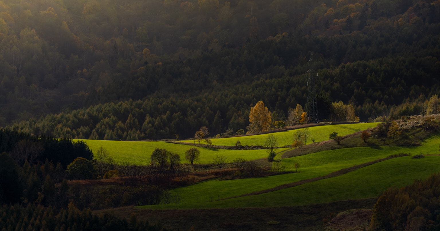 2024-06-away-from-ai-cover-image