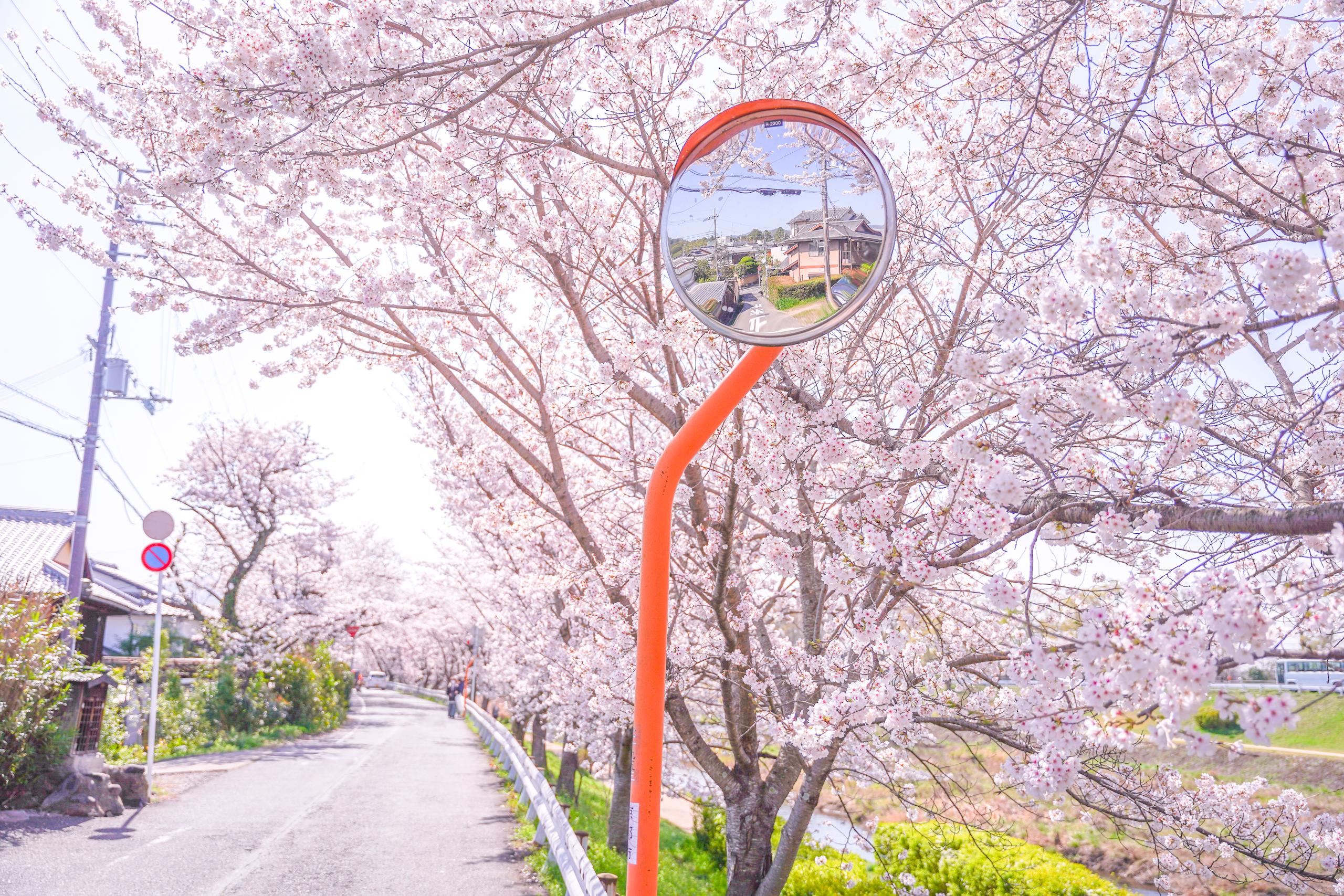 2023-12-end-of-year-reflection-image-5