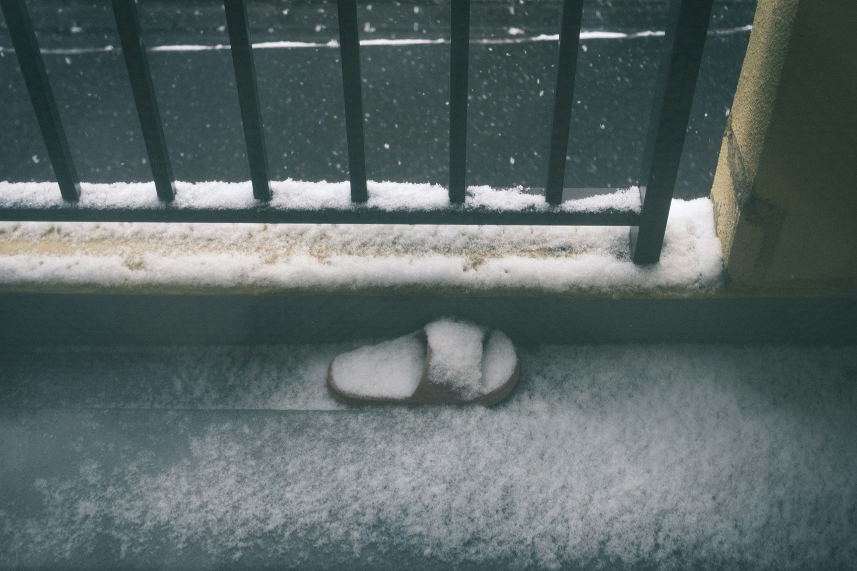 2026-02-photo-contest-pr-2-cover-image