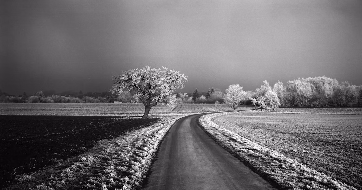 Leica tái hiện nghệ thuật ảnh đen trắng. Phim 35mm “MONOPAN 50” ra đời | Release #522