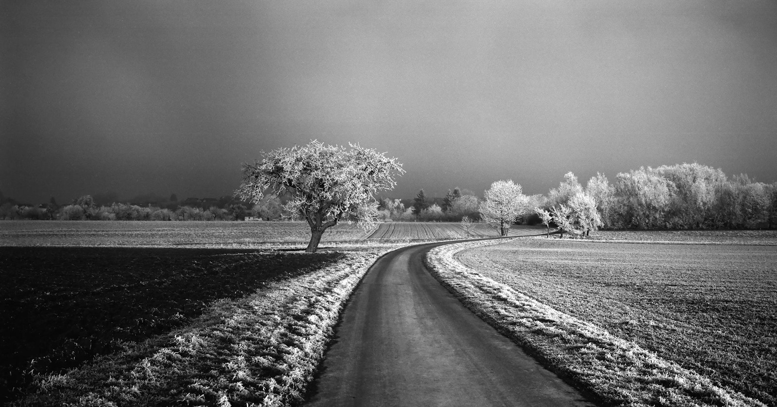 Leica Revives Monochrome Photography: The Birth of 35mm Film 'MONOPAN 50' | Release #522
