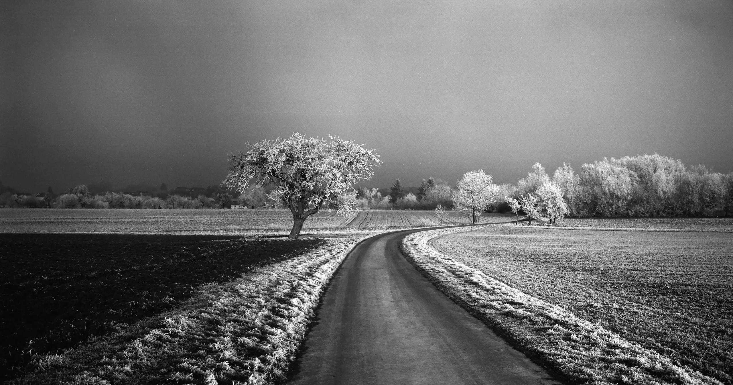 Leica Revives Monochrome Photography: The Birth of 35mm Film 'MONOPAN 50' | Release #522