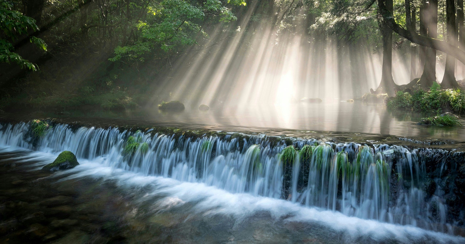 2025-01-akari-my-journey-with-z6-cover-image