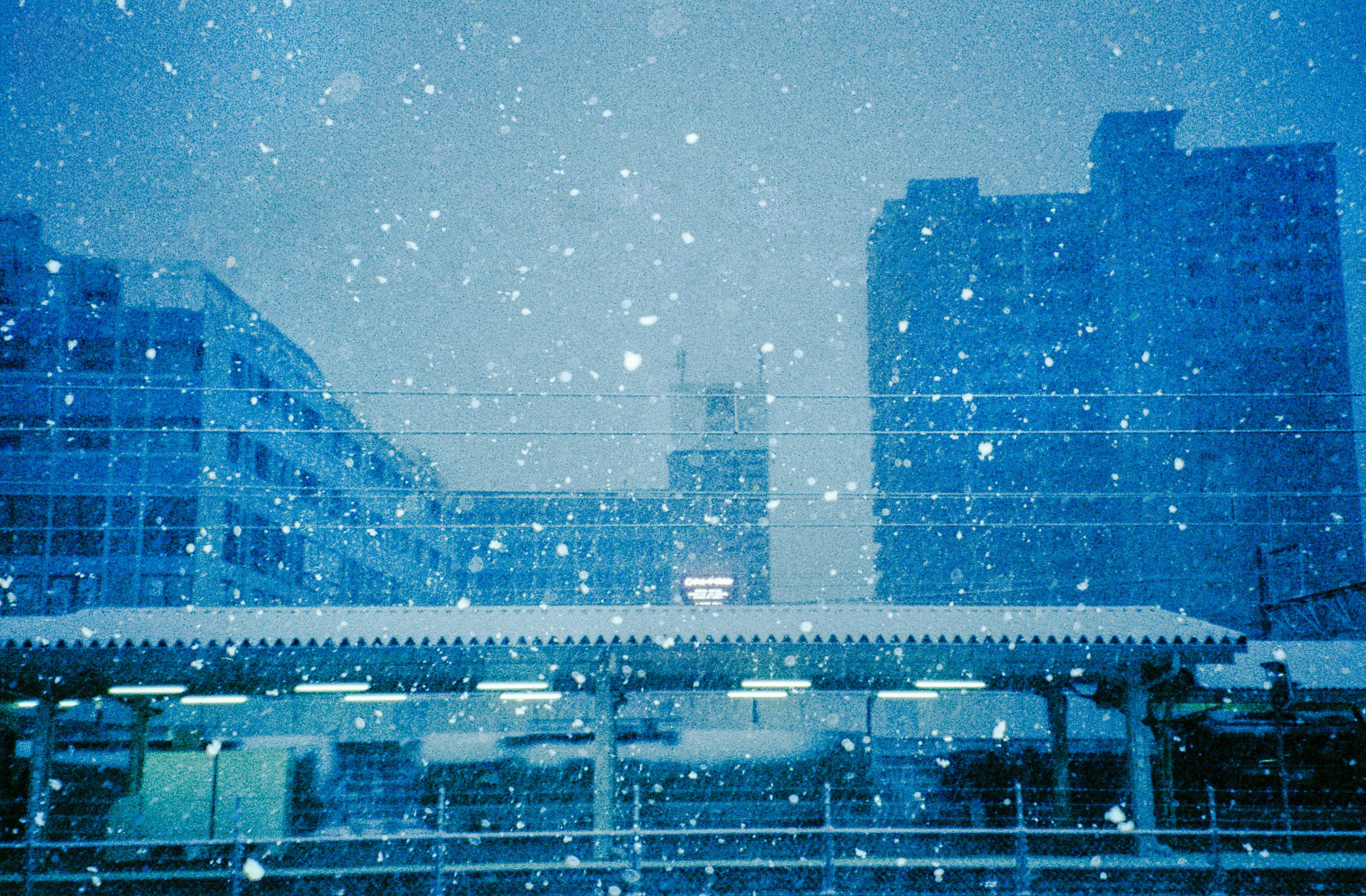 2026-05-invisible-and-visible-love-cover-image